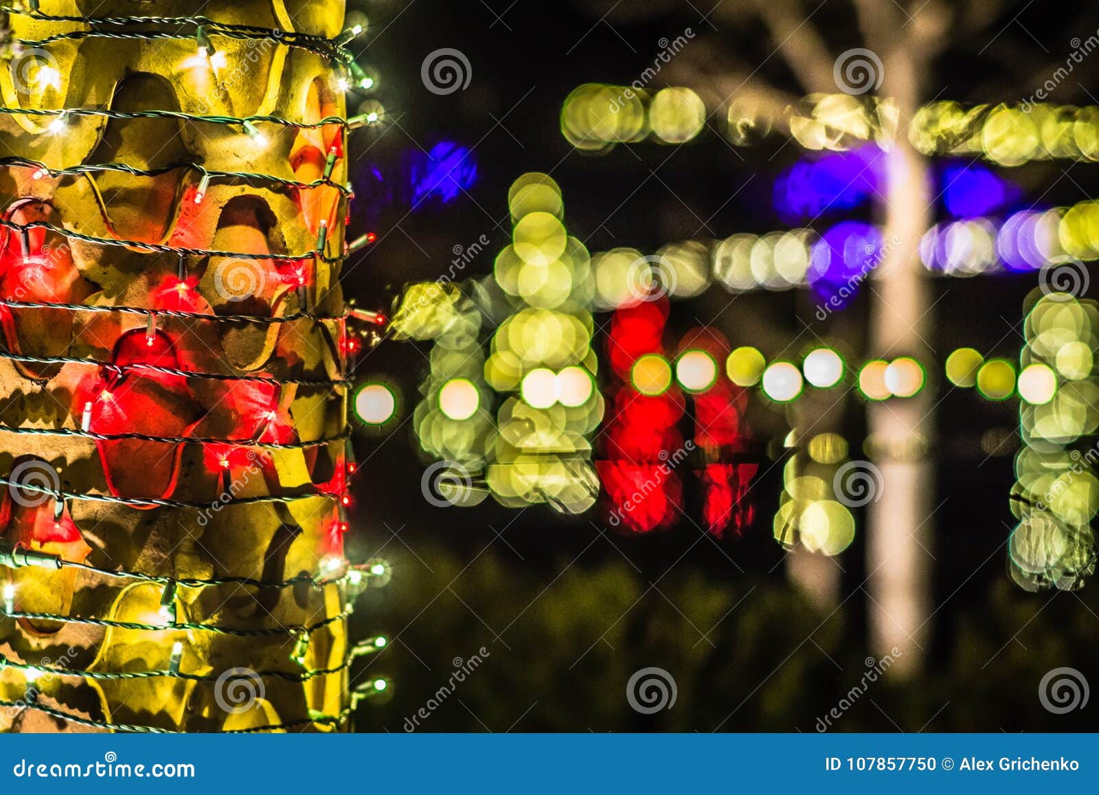 Christmas Season Decorations and Lights at Gardens Stock Photo Image