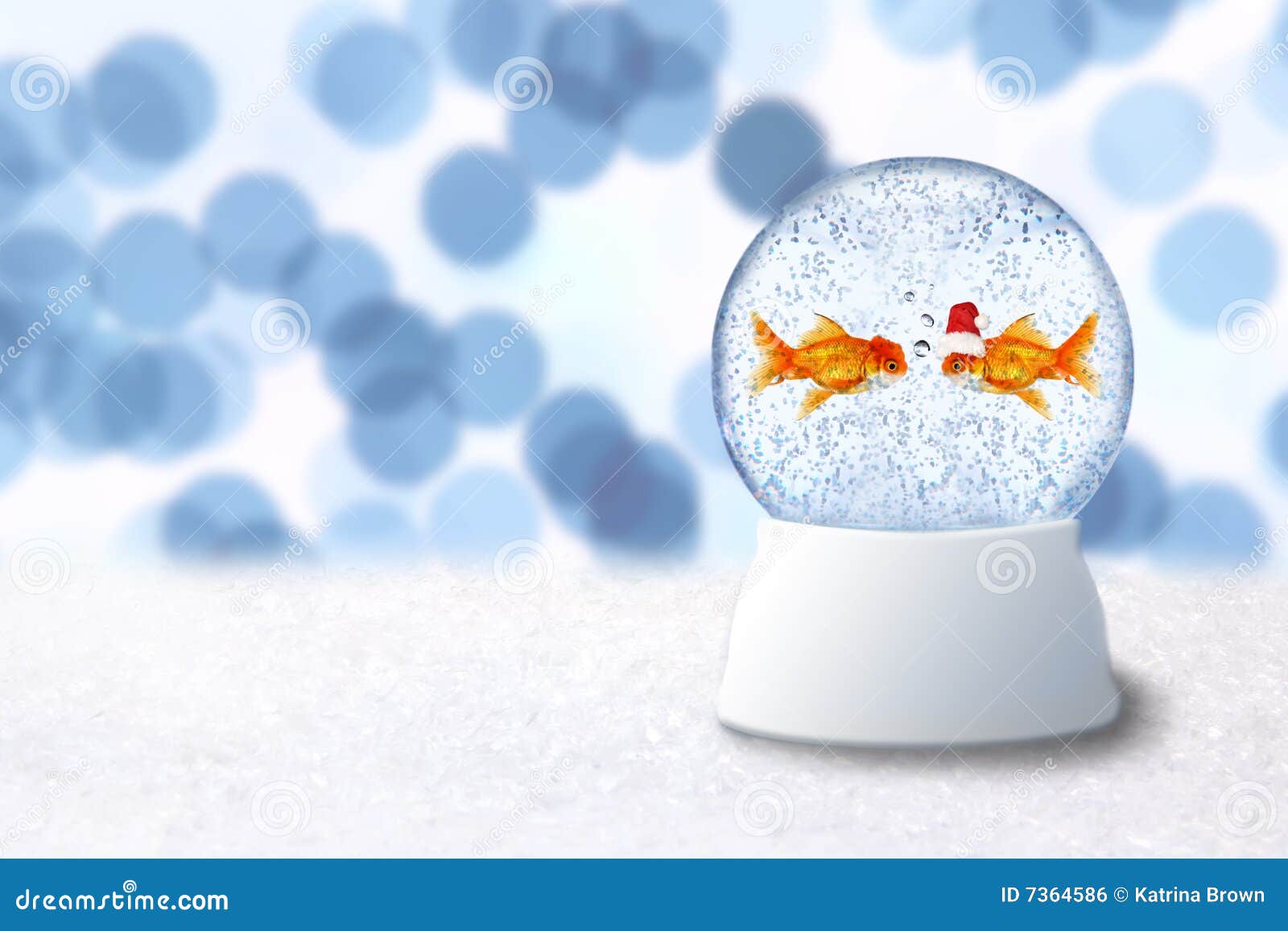 1,096 Fish Globe Stock Photos - Free & Royalty-Free Stock Photos from  Dreamstime