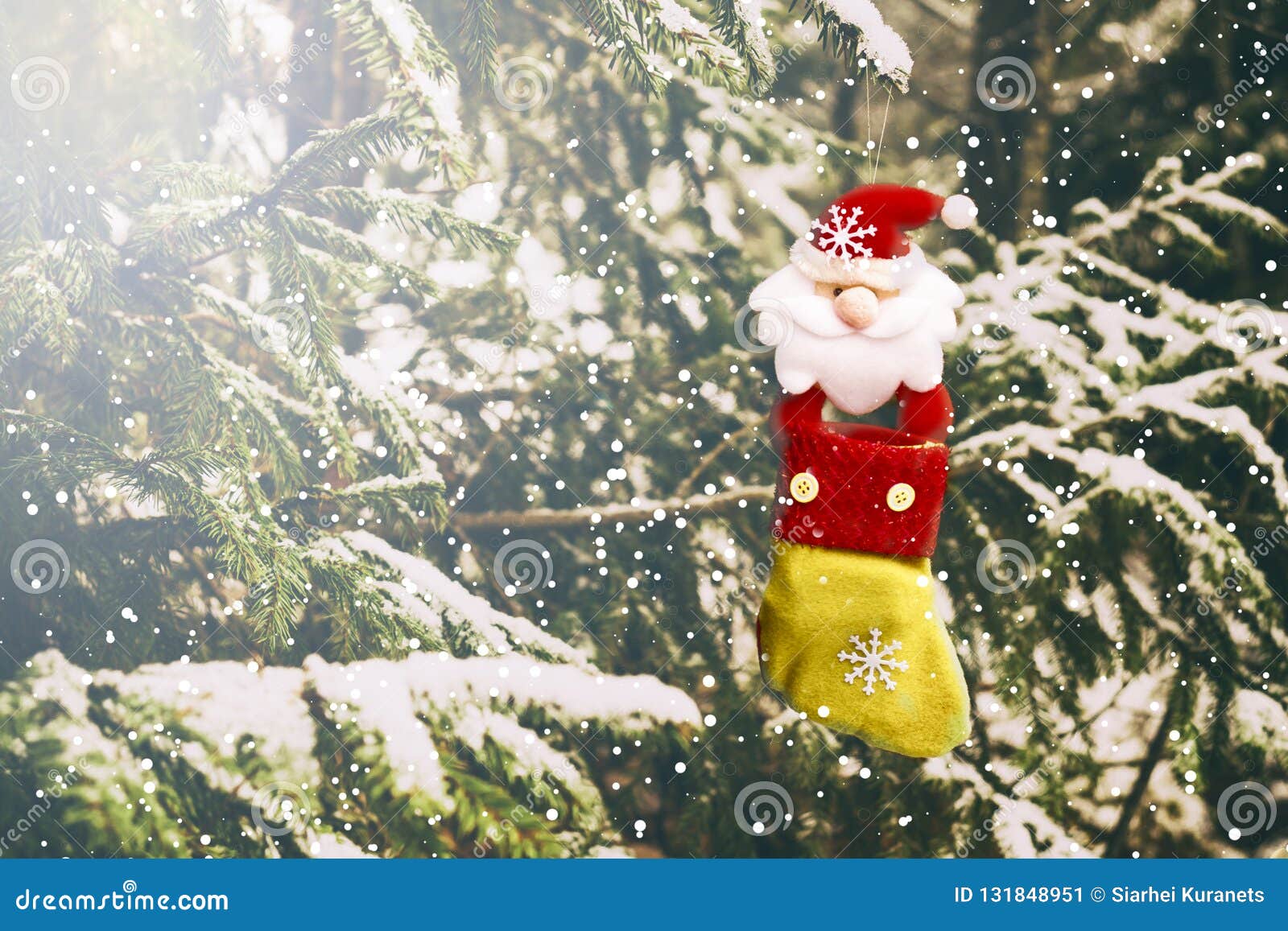 Christmas Sock on the Tree Against the Background of Snow, All Real ...