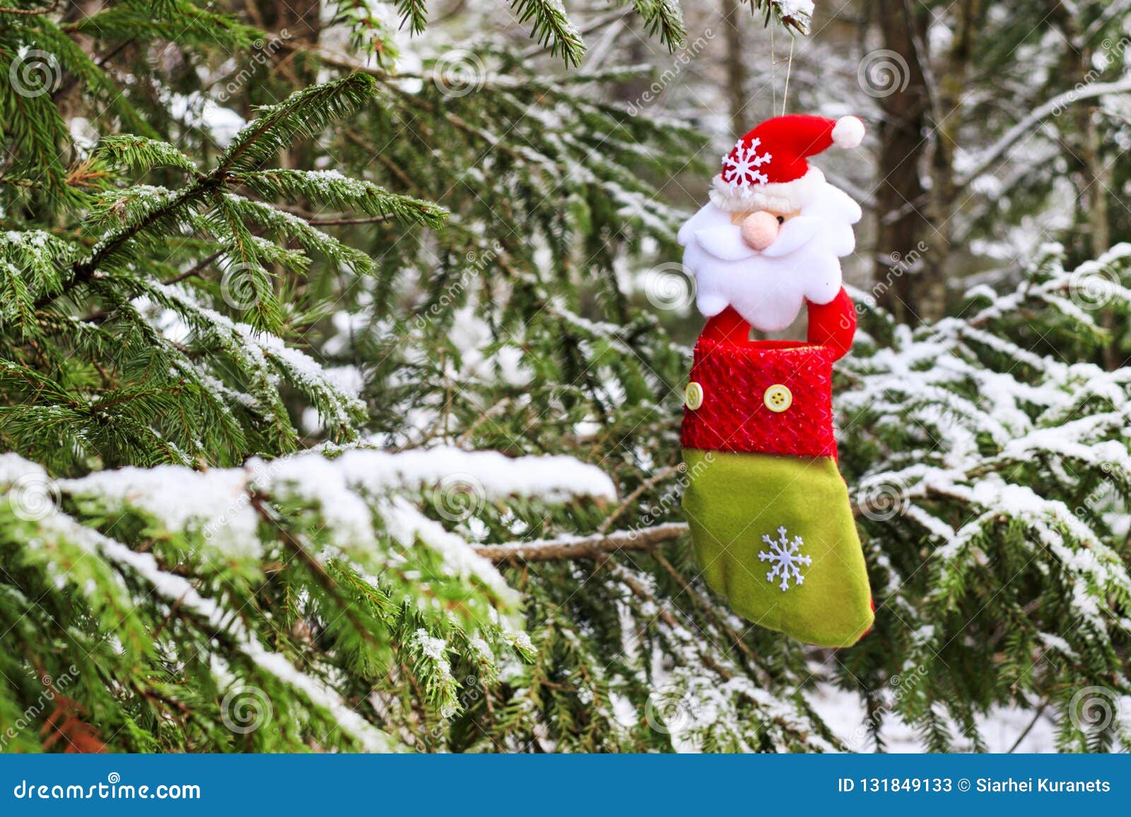 Christmas Sock on the Tree Against the Background of Snow, All Real ...