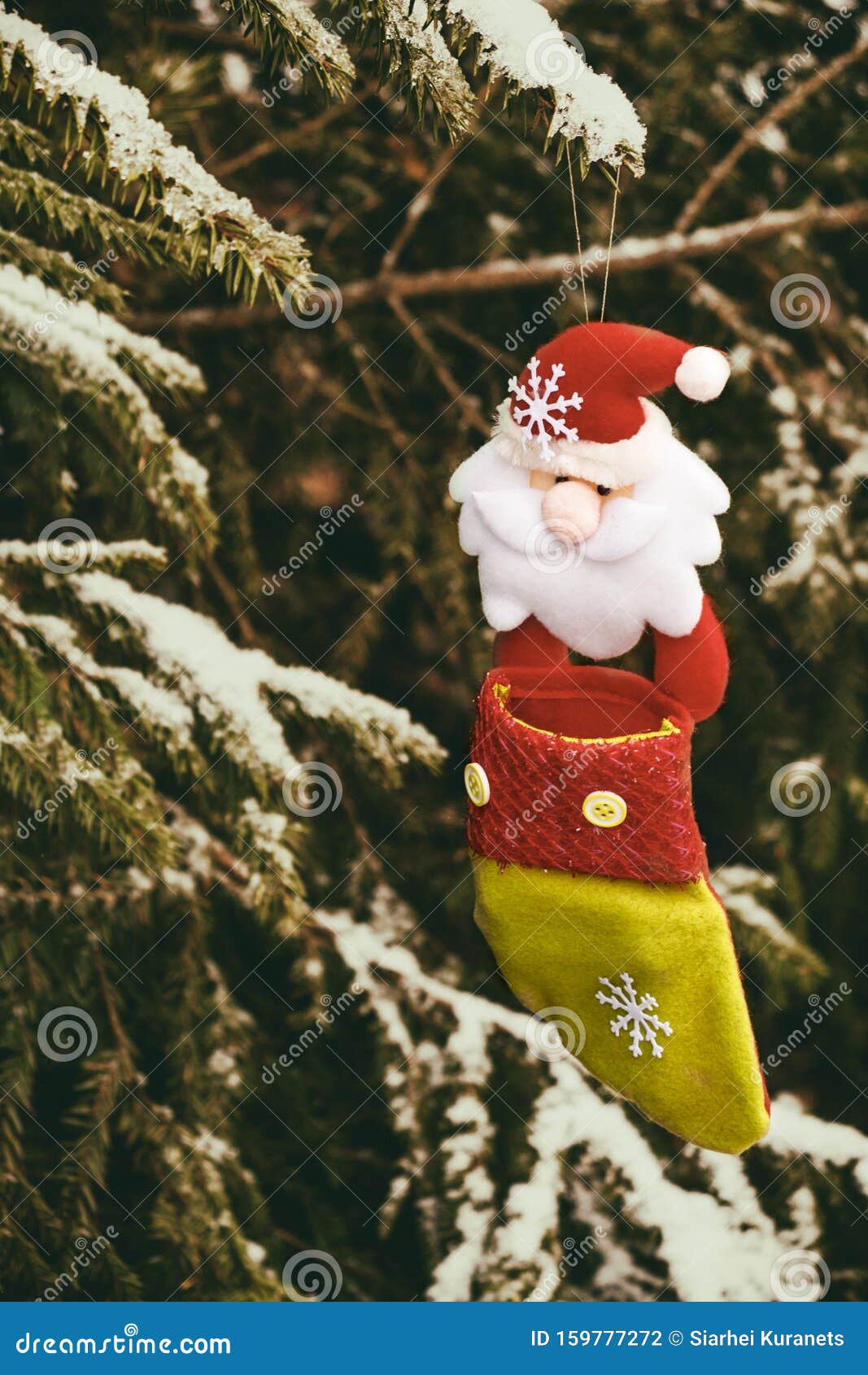 Christmas Sock on the Tree Against the Background of Snow, All Real ...