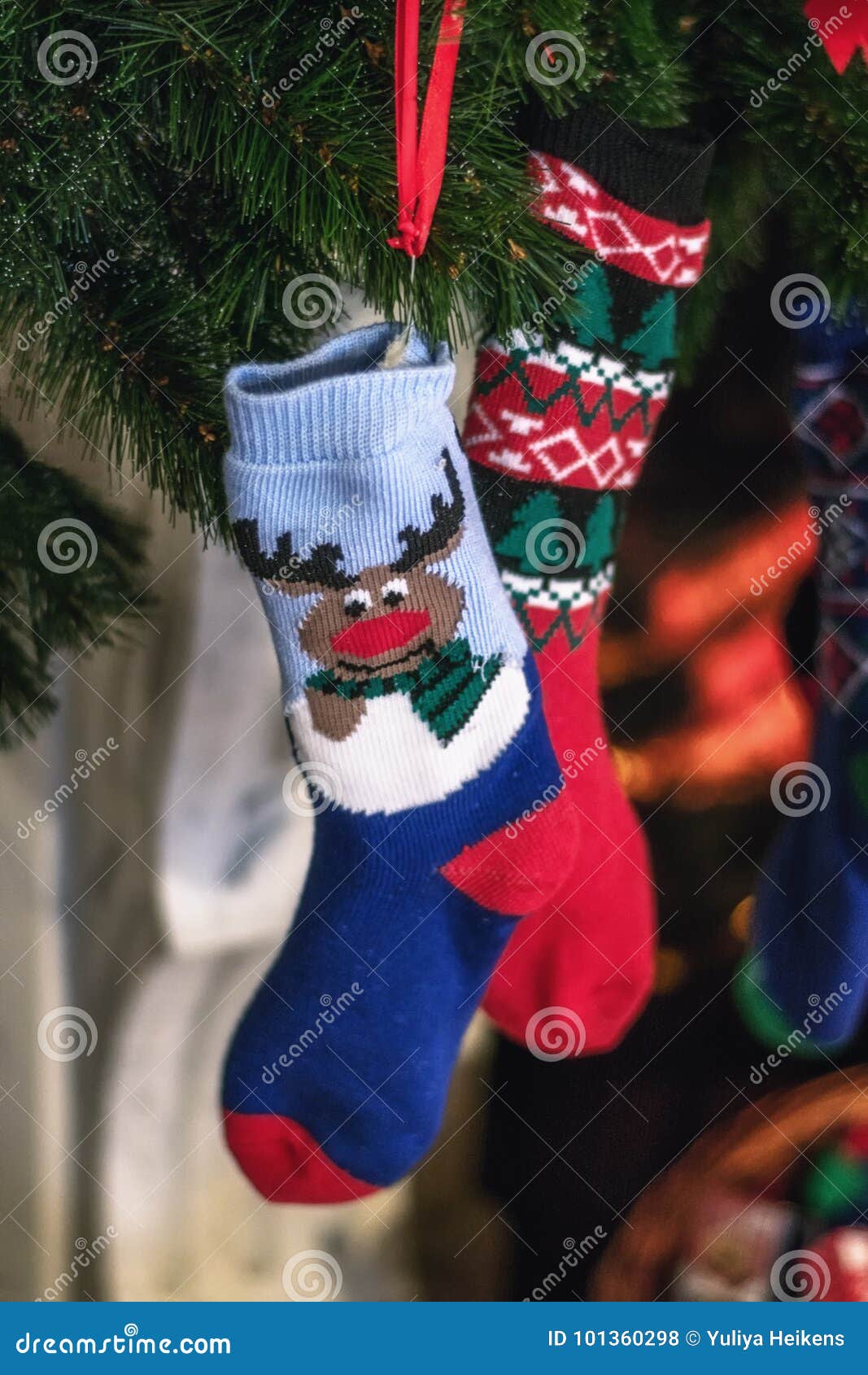 Christmas Socks Hanging in a Christmas Tree Stock Photo Image of Socks Hanging Christmas