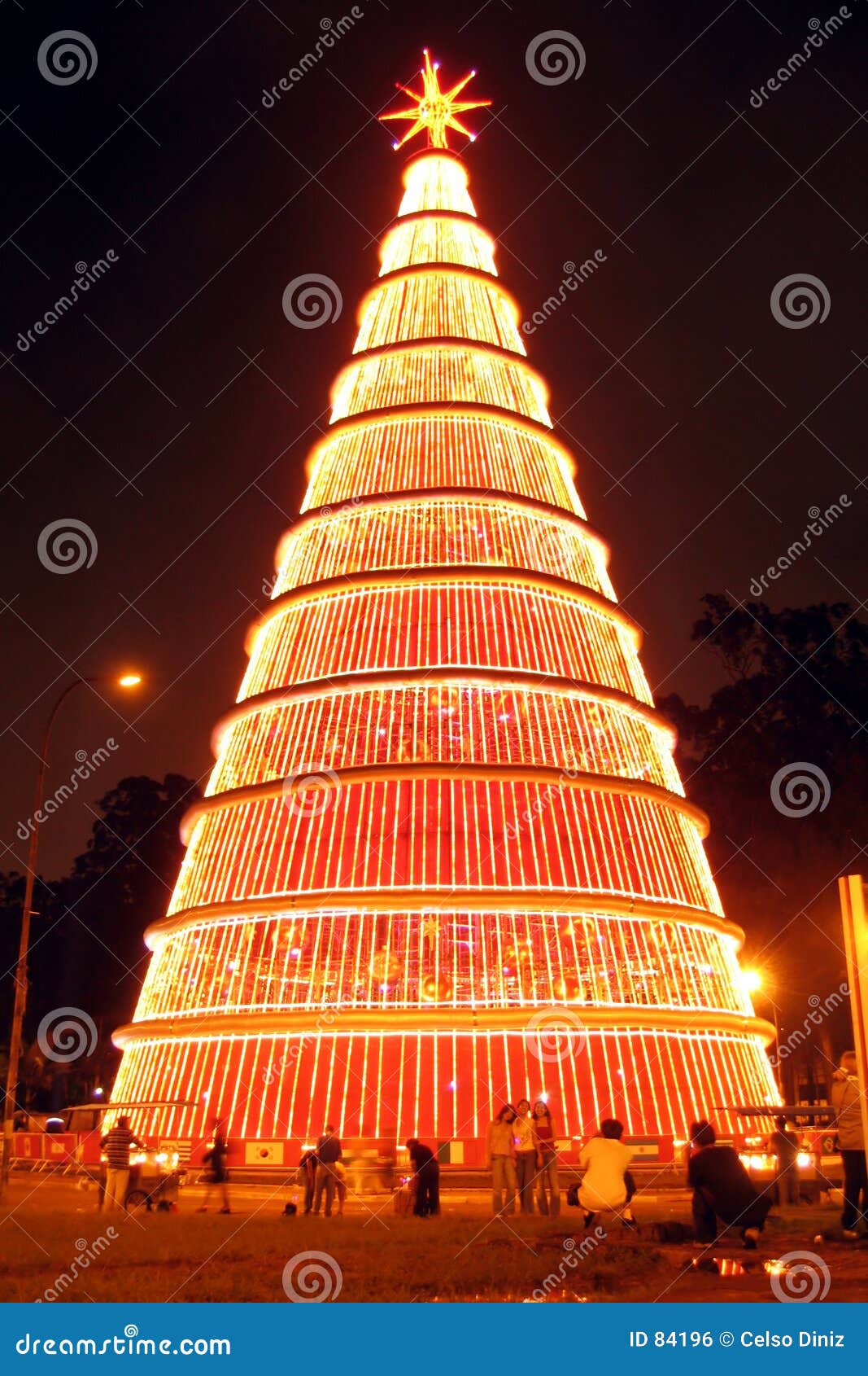 gigantic christmas tree at night