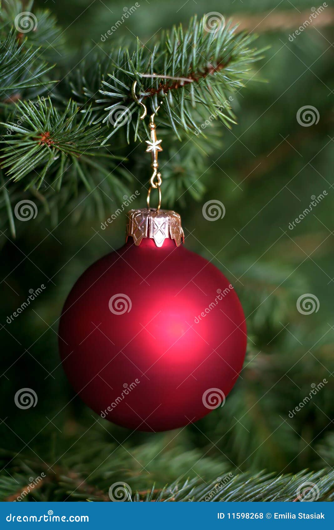 Christmas tree stock photo. Image of glass, ornament - 11598268