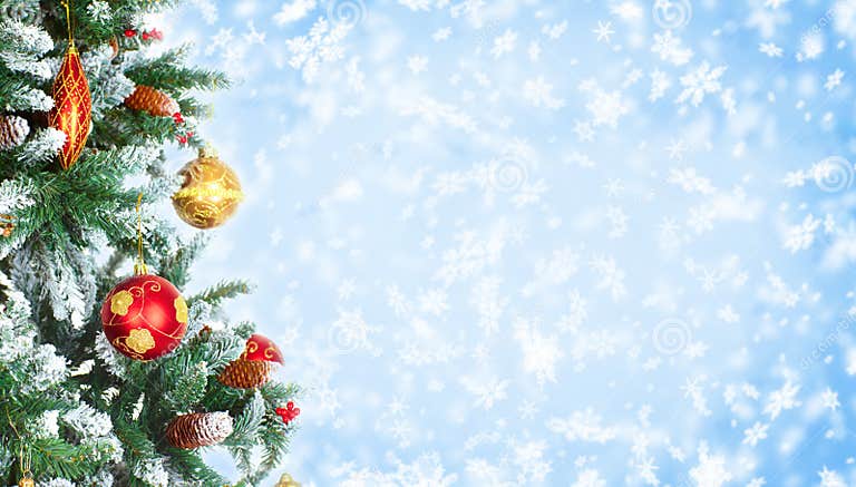 Christmas Tree stock photo. Image of frost, background - 11719924