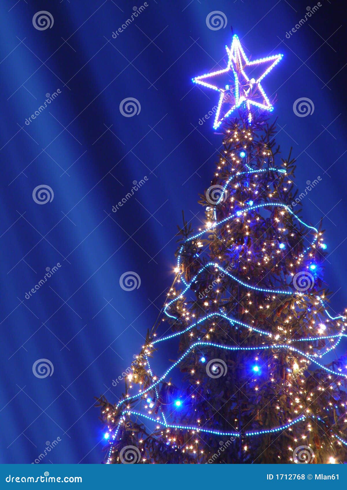 Christmas tree stock photo. Image of design, holiday, merry - 1712768