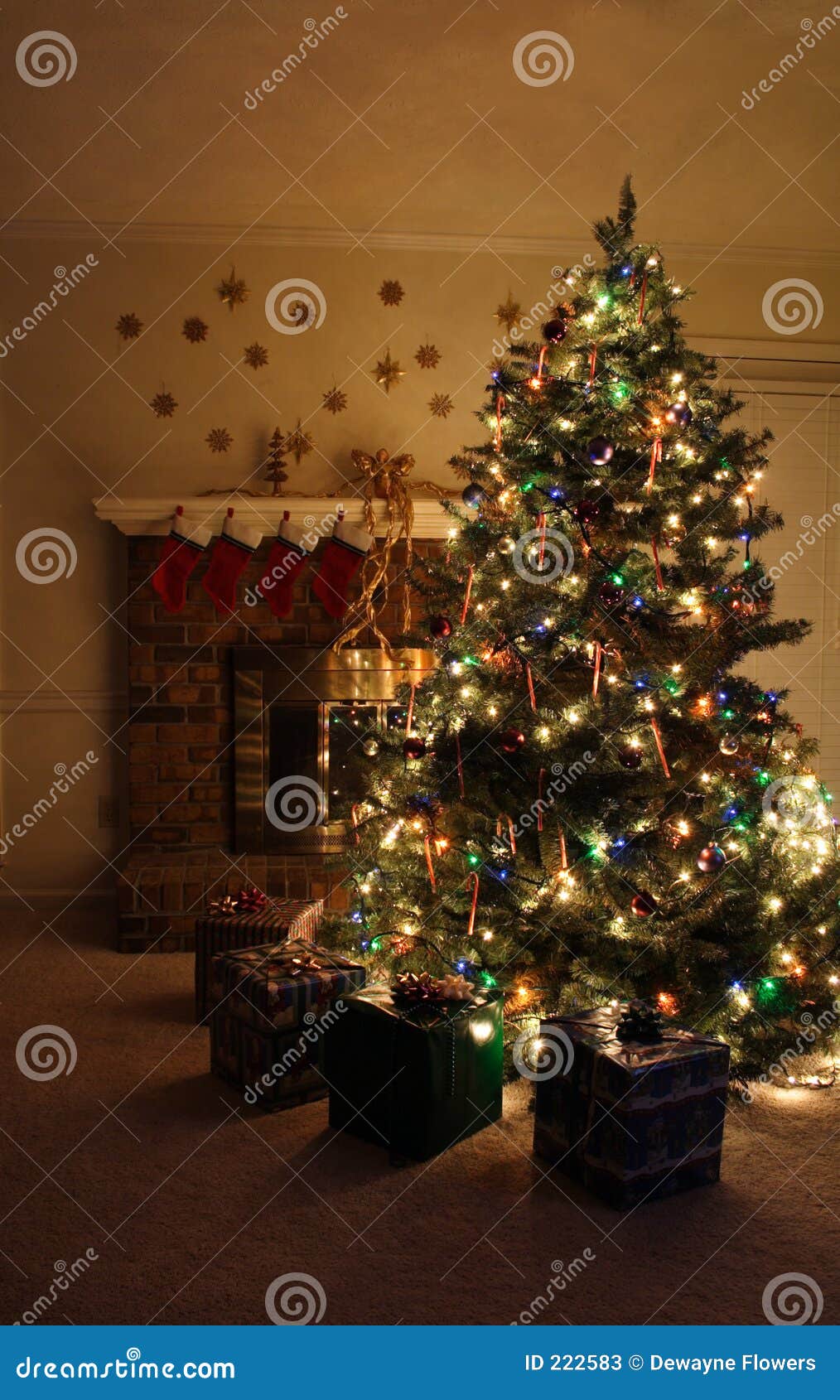Christmas Tree stock image. Image of world, tree, american - 222583