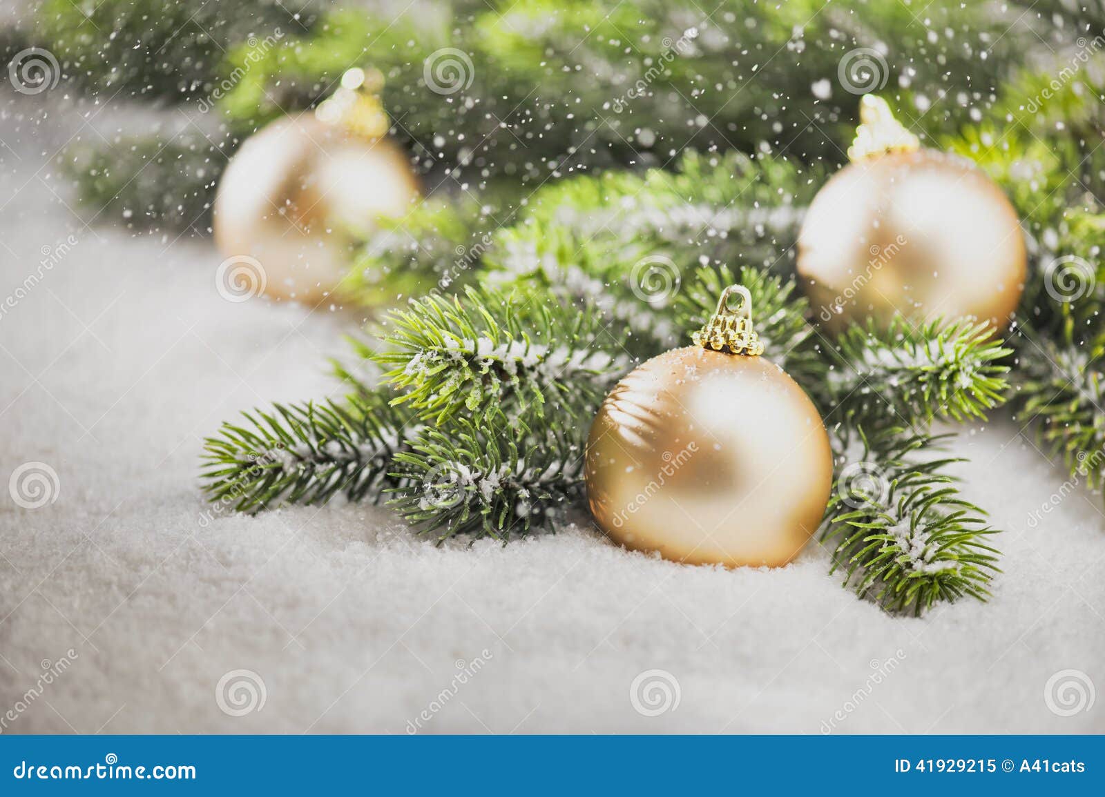 Christmas Tree Bauble with Christmas Tree Branches Stock Image Image