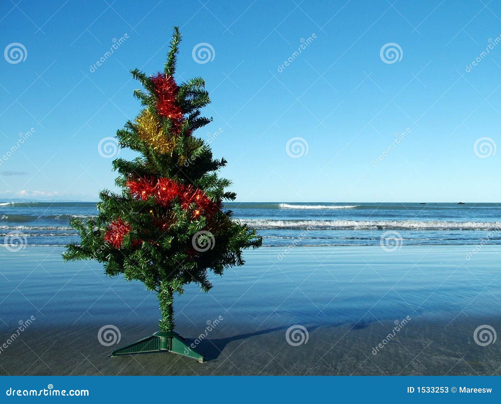Christmas Tree on the Beach Stock Image Image of christmas, festive 1533253