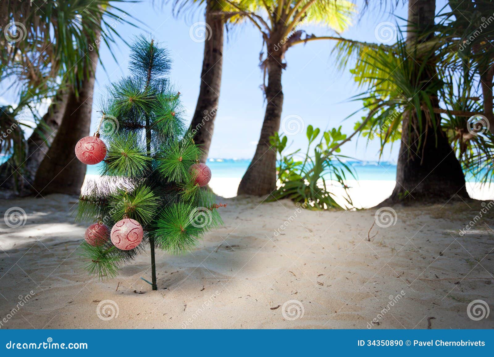 Christmas tree on beach stock photo. Image of happy, travel 34350890