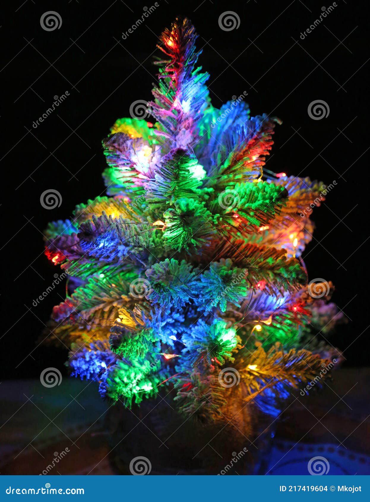 Christmas Tree on Black Background Stock Photo Image of winter