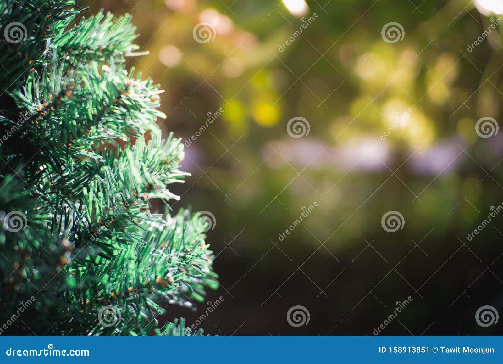 Christmas Tree with Blur Background Stock Image - Image of tree, claus ...