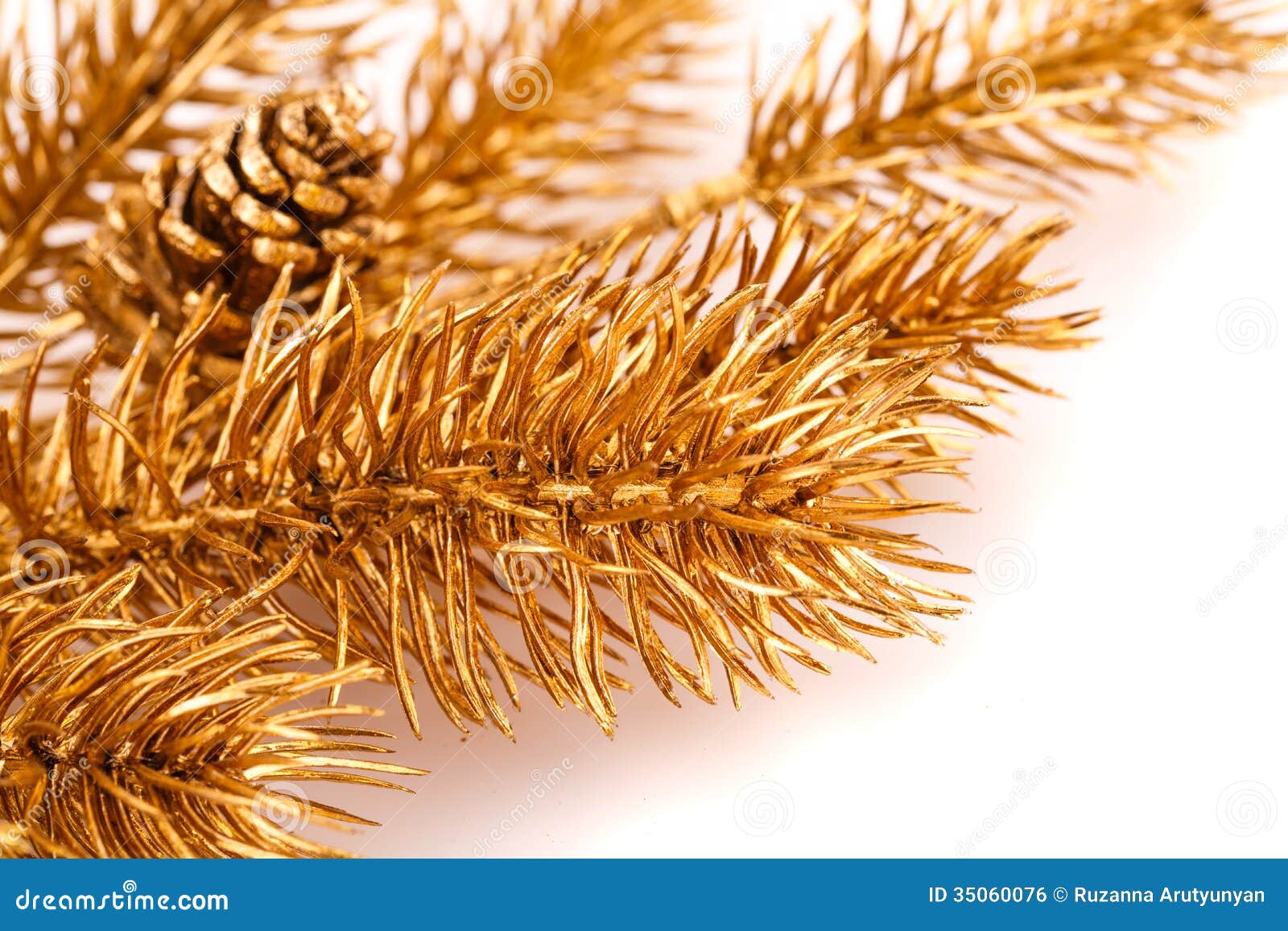 Christmas tree branch stock photo. Image of christmas 35060076