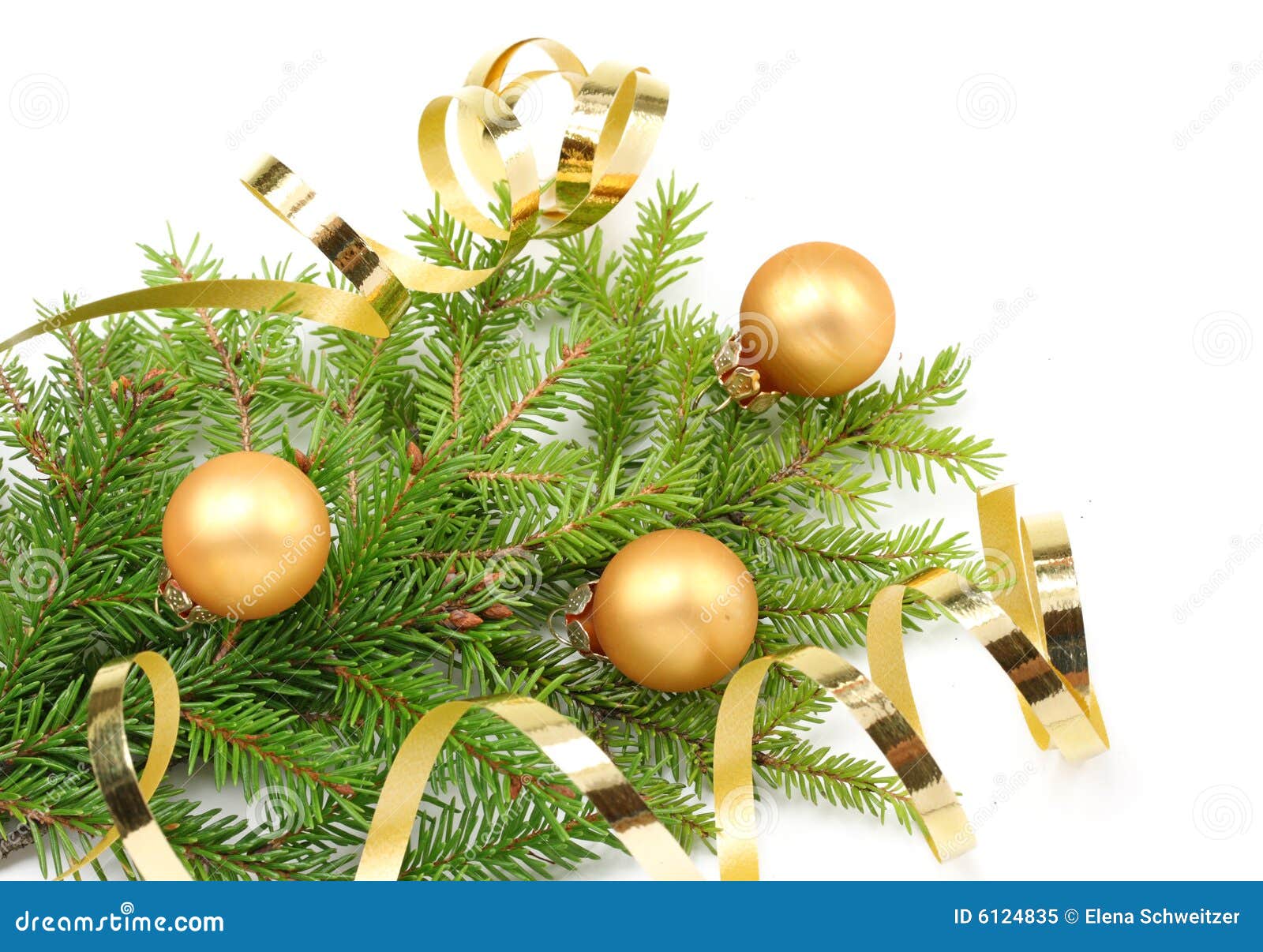 Christmas Tree Branch and Golden Ribbon Stock Image Image of isolated