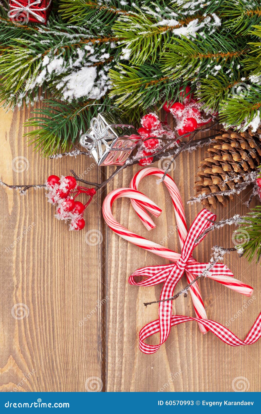 Christmas Tree Branch with Snow and Candy Canes Stock Image - Image of ...