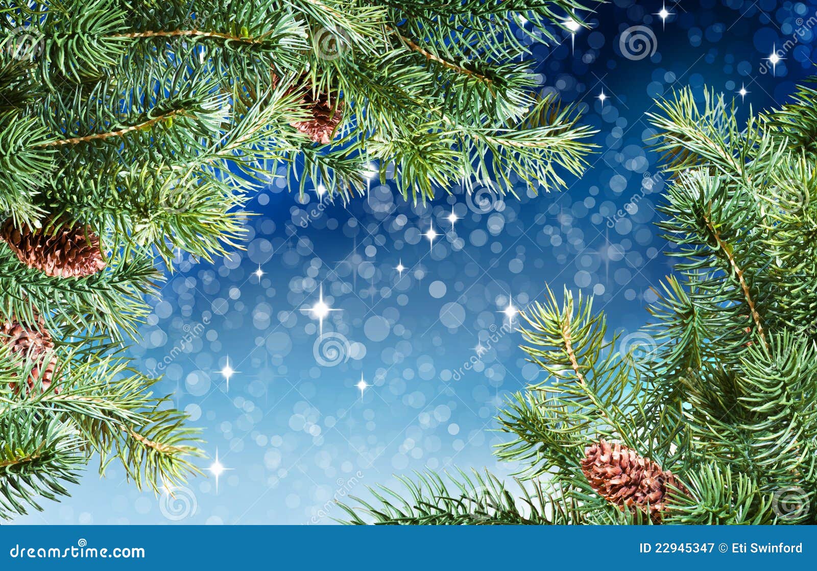 Christmas Tree Branches Royalty Free Stock Photography - Image: 22945347