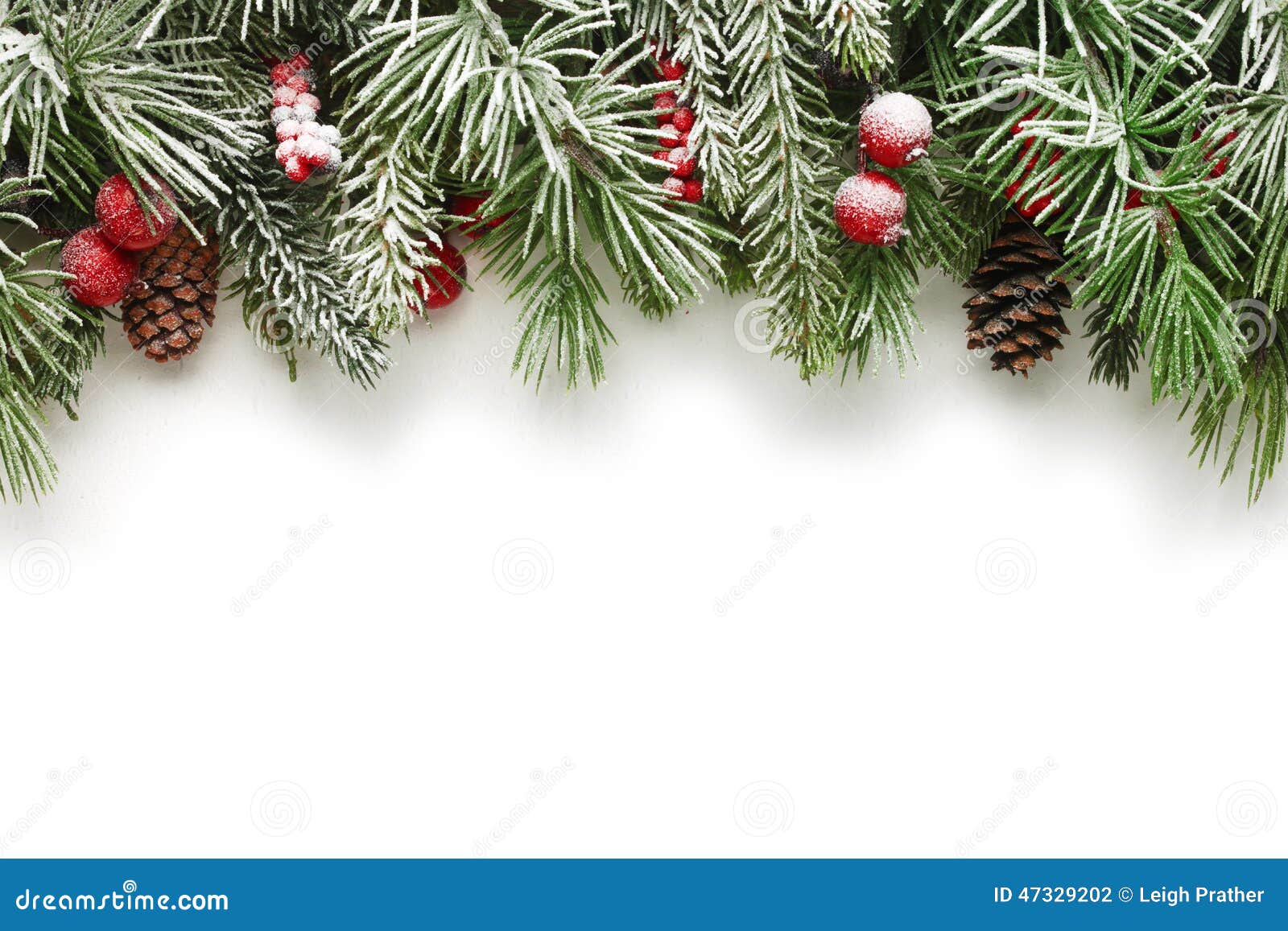 christmas tree branches background