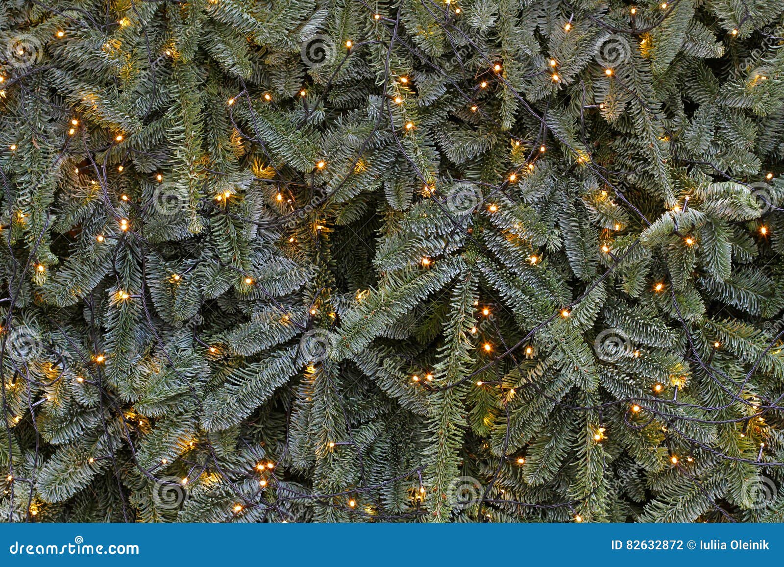 Christmas Tree Branches and Garland Stock Photo Image of beautiful