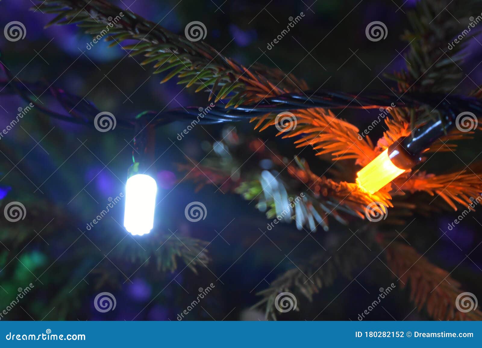 Christmas Tree Branches with Garland Lights Stock Photo Image of