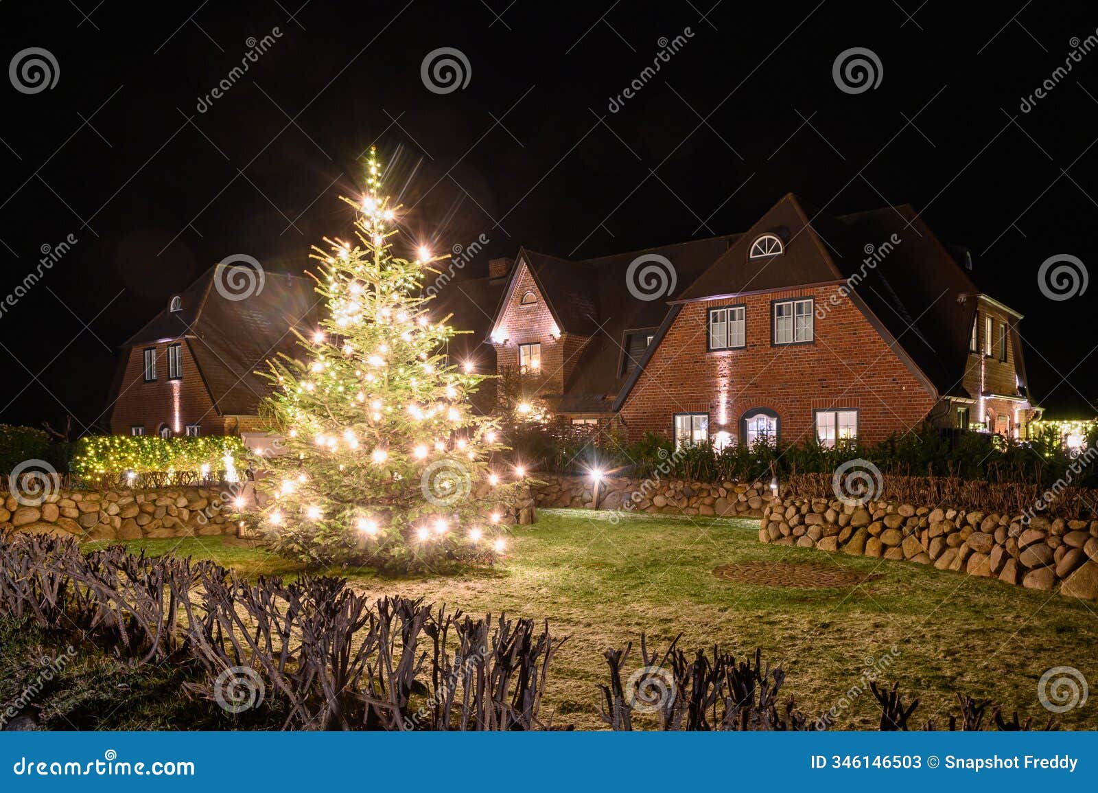 christmas tree brightly lit stands in a well-maintained garden surrounded by frisian stone walls and hedges.
