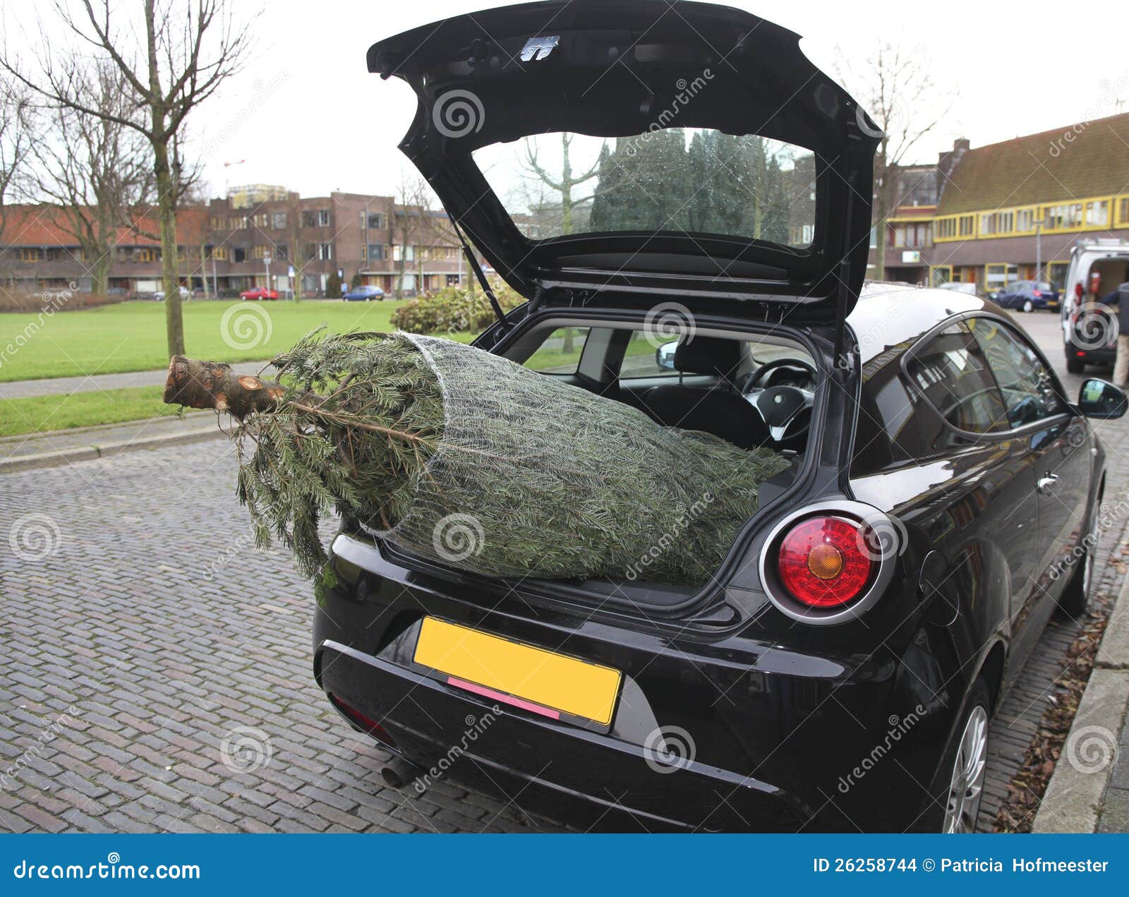 Christmas tree in car stock photo. Image of outdoors 26258744
