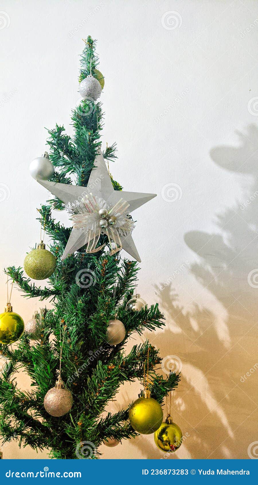 Christmas Tree for Celebrate Christmas Eve Stock Image Image of