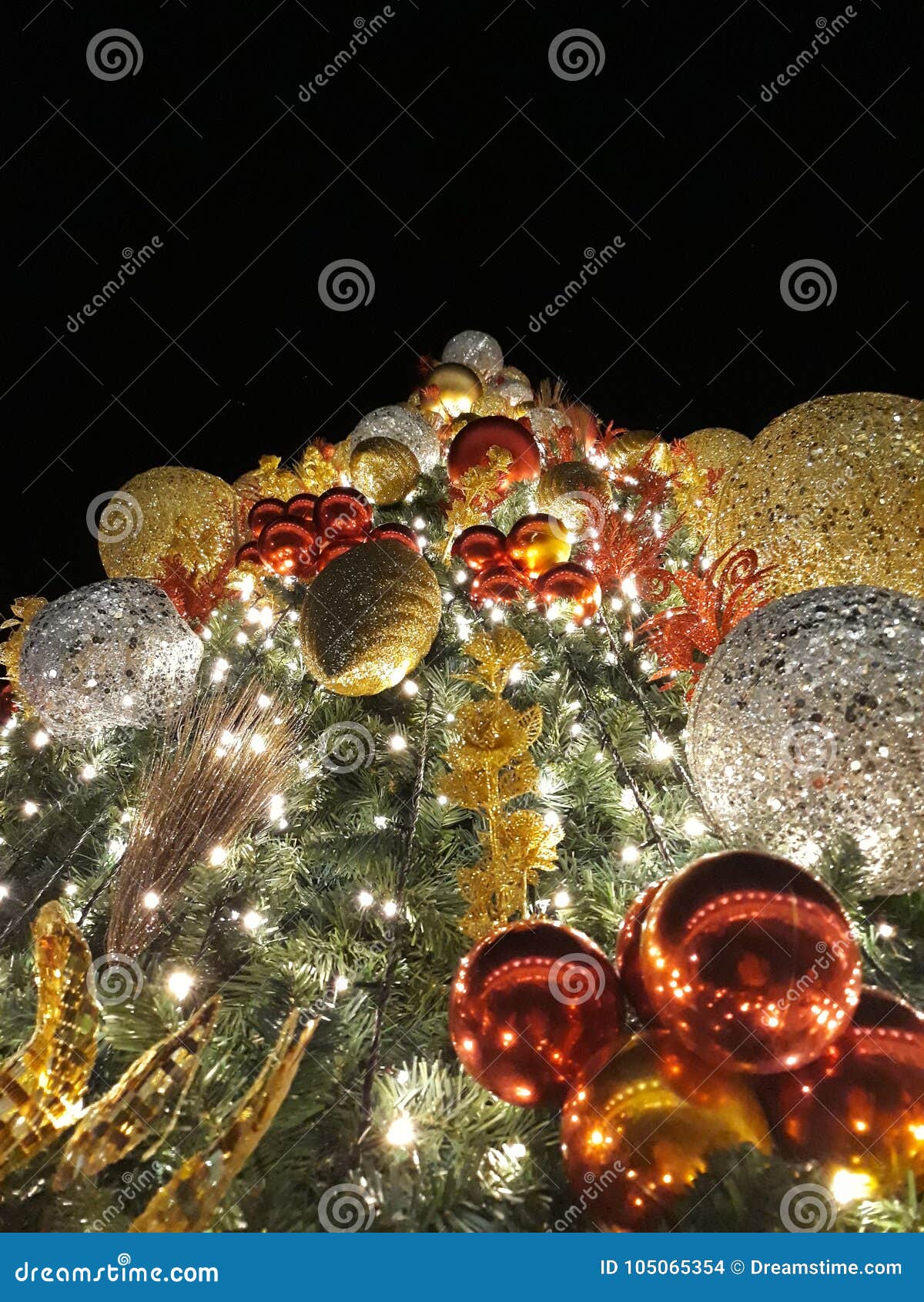 Christmas Tree stock photo. Image of tree, christmastree 105065354