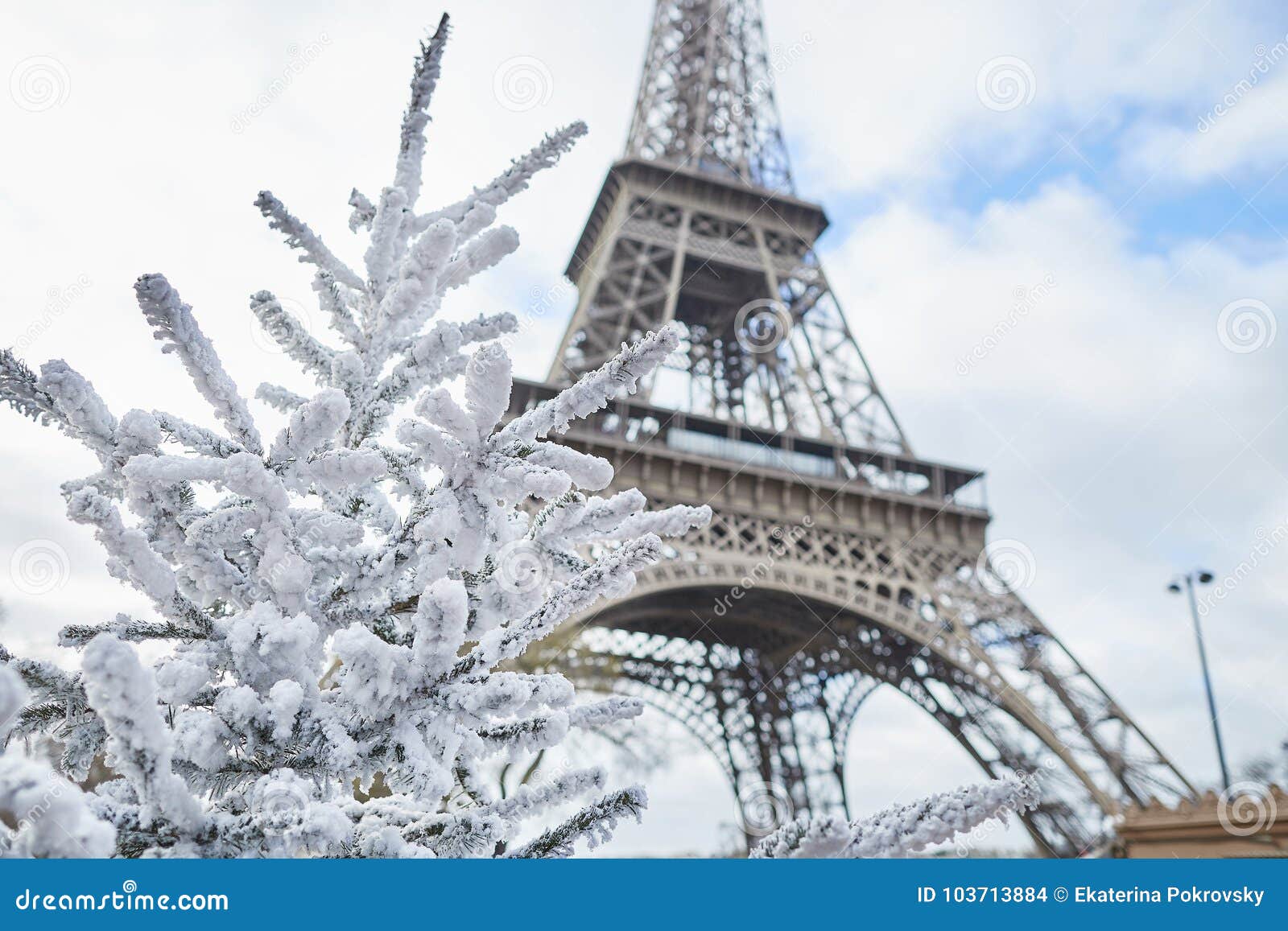 Christmas Tree Covered With Snow Near The Eiffel Tower Stock Photo Image Of Branch Tree 103713884