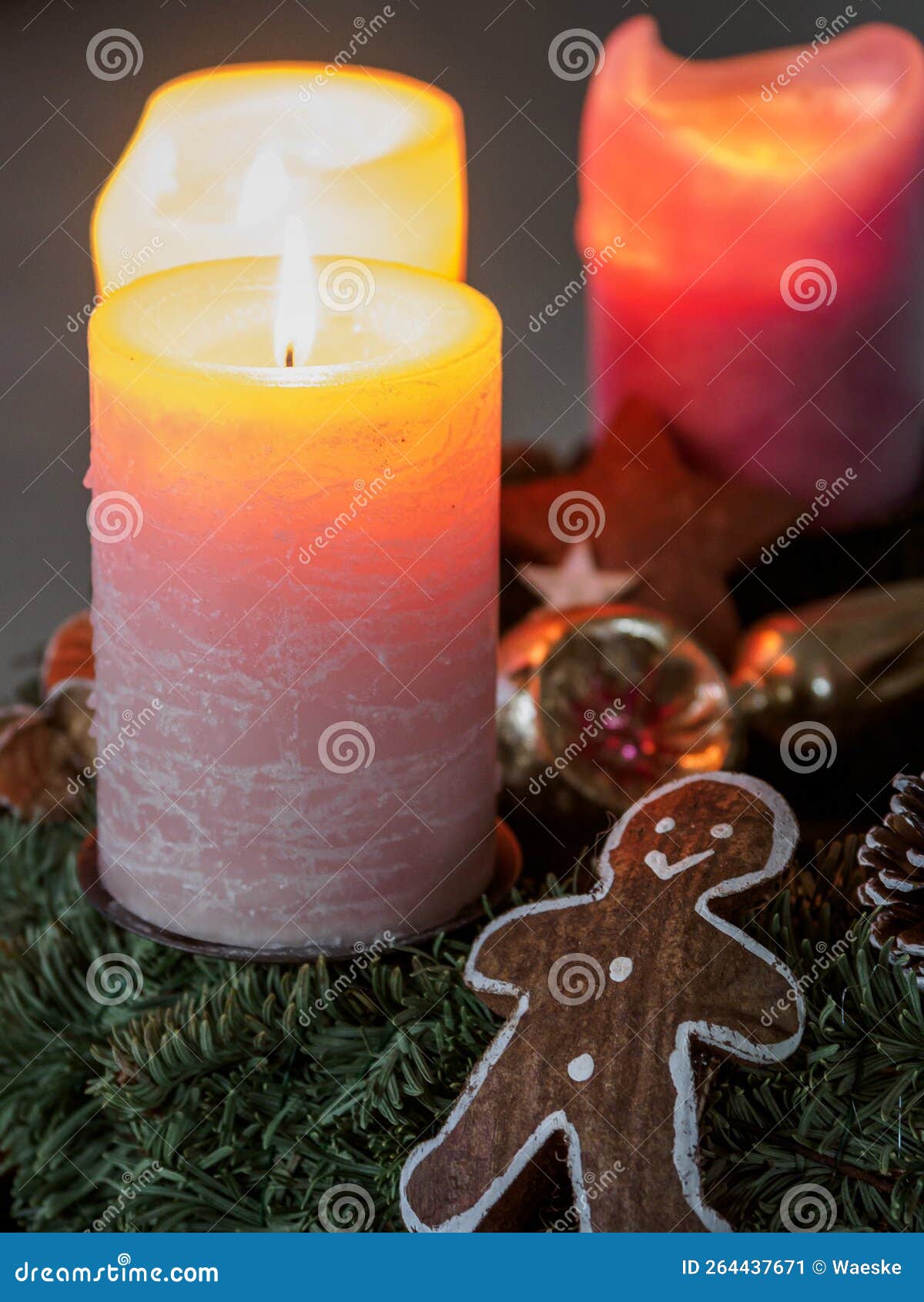 Christmas Tree with a Crib and Candles Stock Image Image of seasons