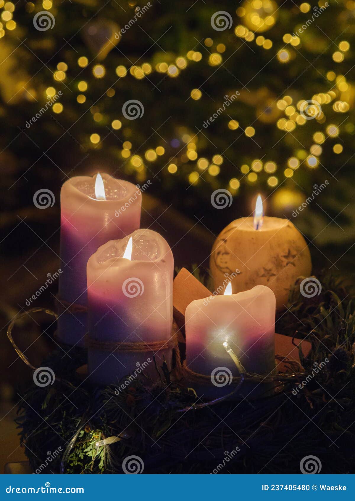 Christmas Tree and a Crib in Germany Stock Photo Image of lights