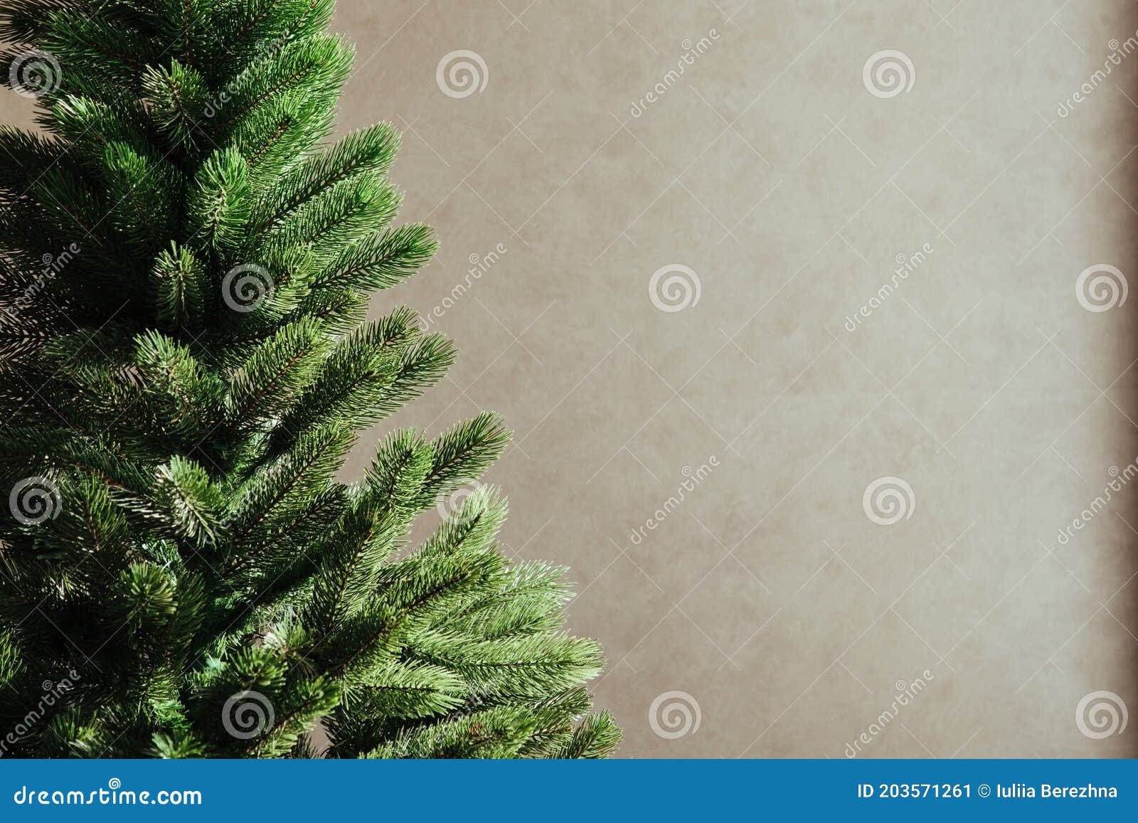 Christmas Tree without Decorations on a Solid Background Stock Image