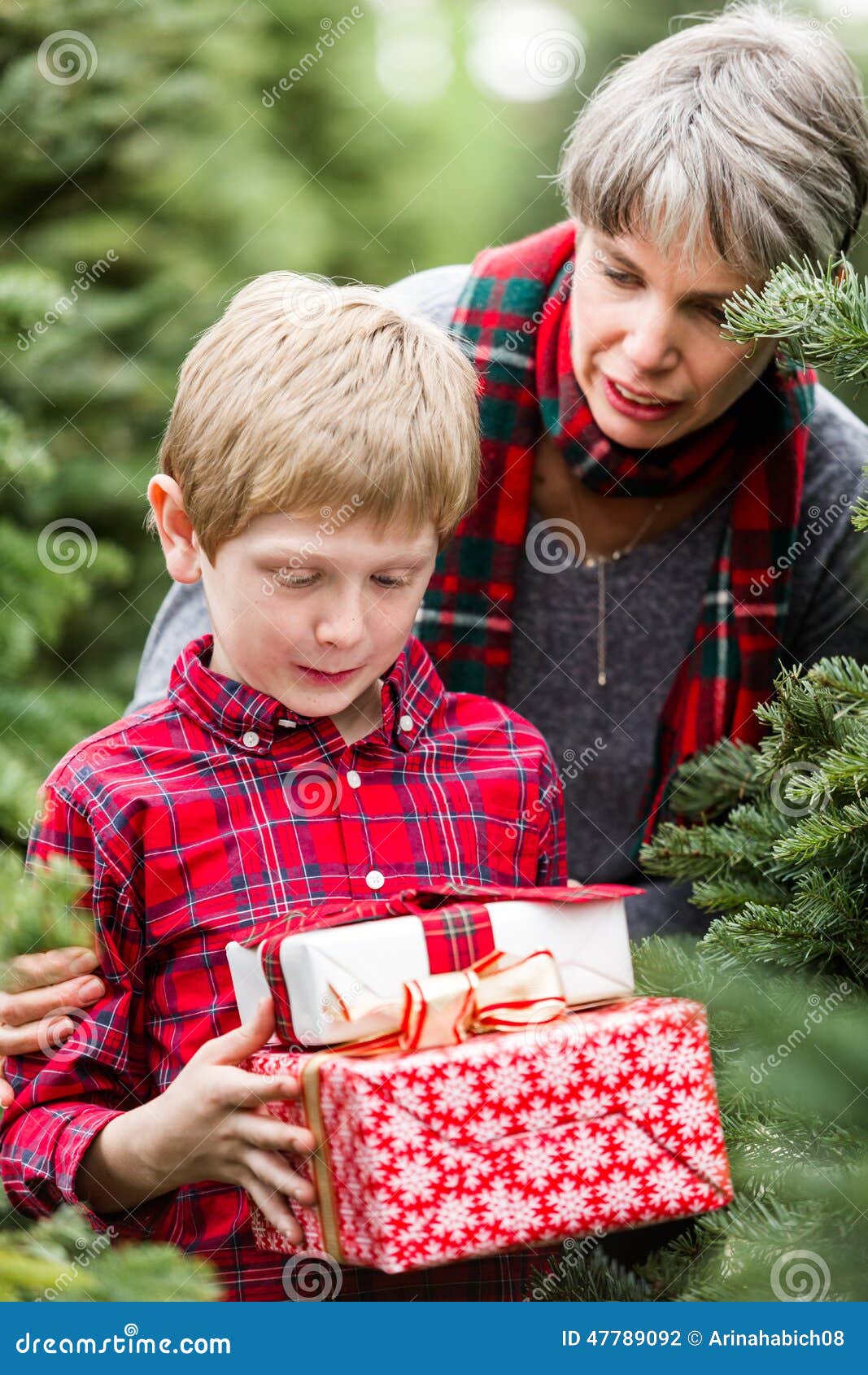 Christmas tree farm stock photo. Image of hanging, christmas 47789092