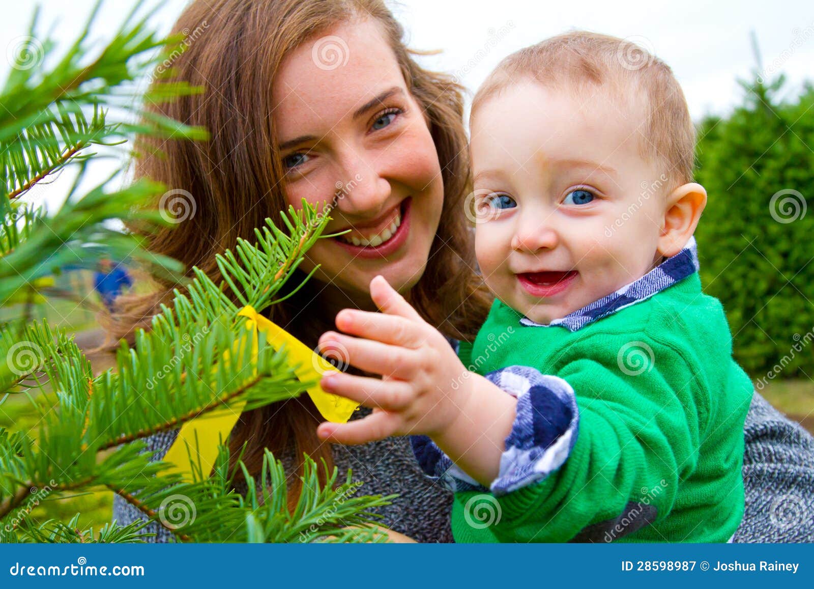 Christmas Tree Farm Portraits Stock Image Image of outdoors, toddler