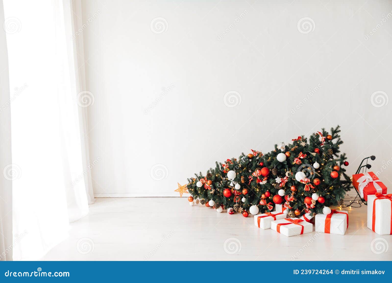 Christmas Tree Fell Lying on the Floor New Year Stock Photo Image of