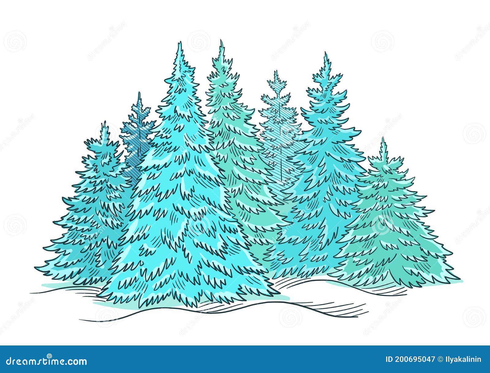 Minimalist colored pencil sketch white background pine spruce tree Stock  Illustration  Adobe Stock