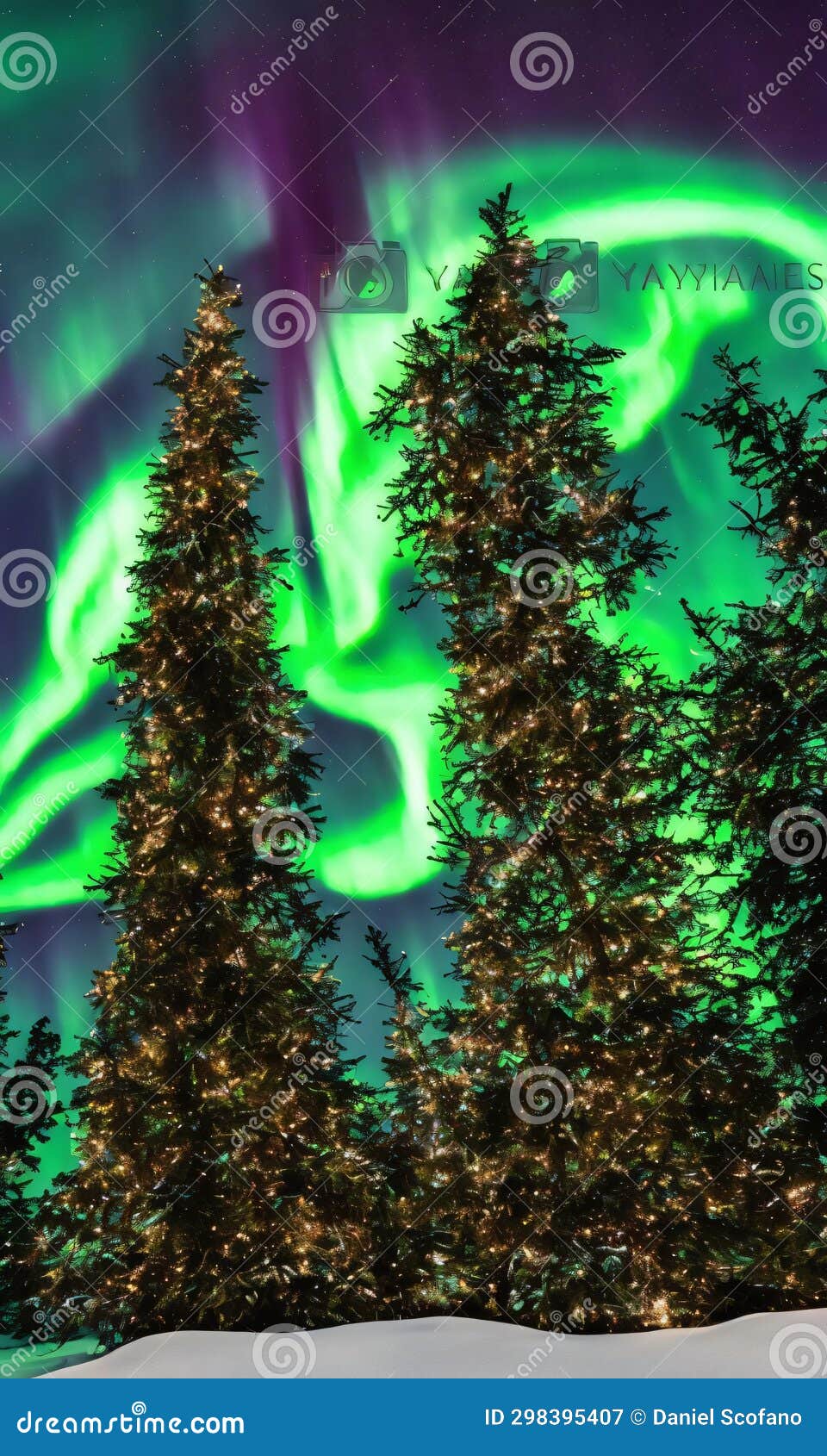 A Christmas Tree in a Forest Clearing, Illuminated by the Northern