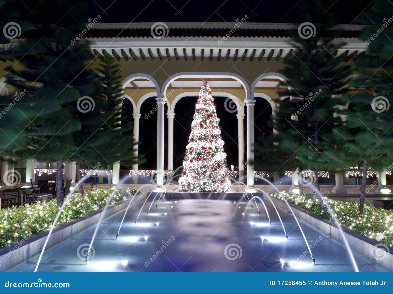 Christmas Tree and Fountain Stock Image Image of decorated, night