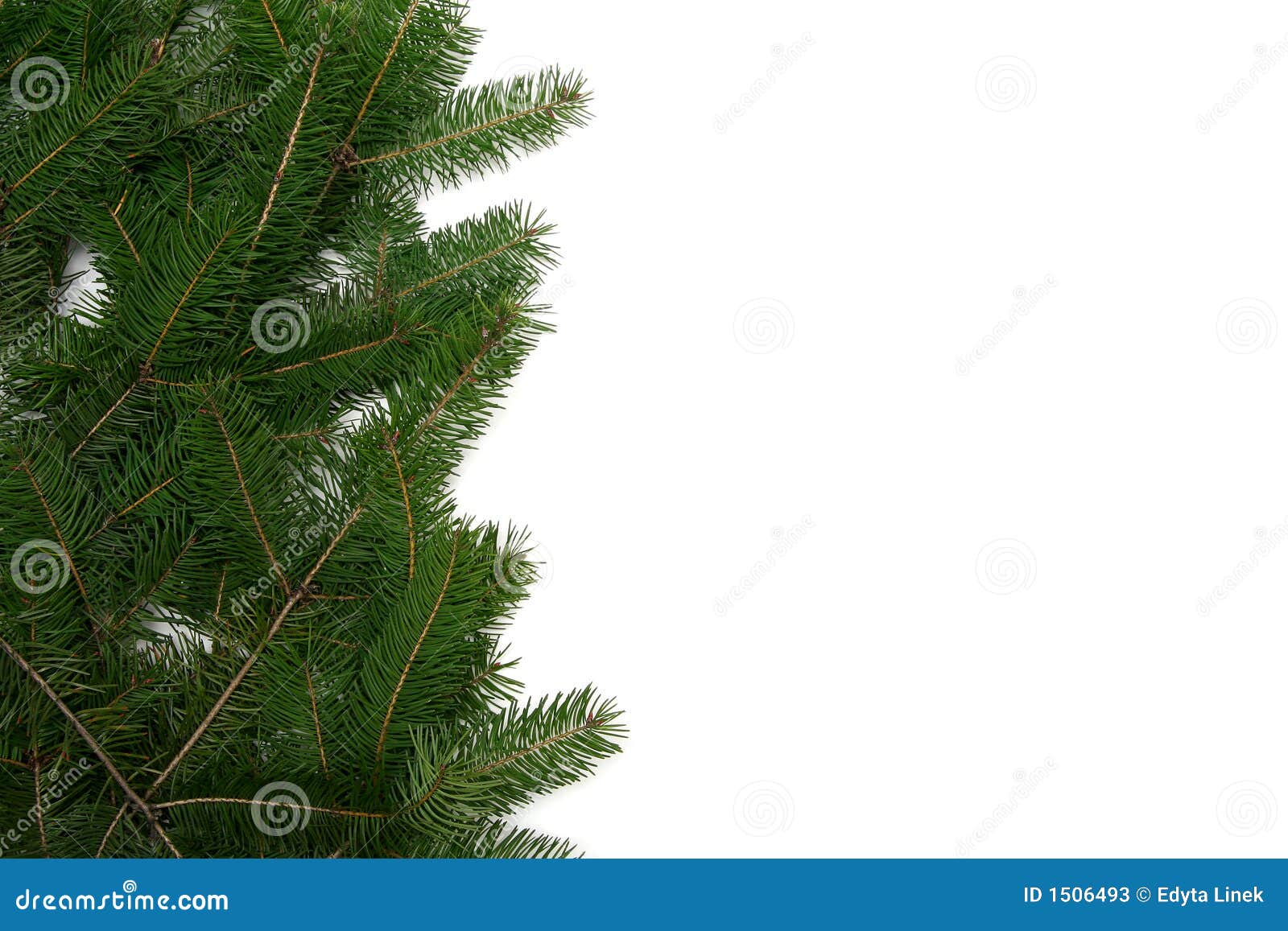 Christmas tree frame stock image. Image of greenes, conifer 1506493