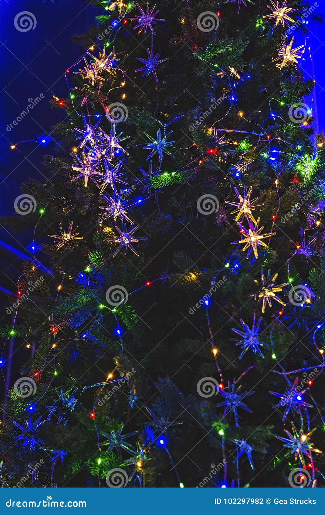 Christmas Tree Full Off Christmas Lights Stock Photo Image of lights
