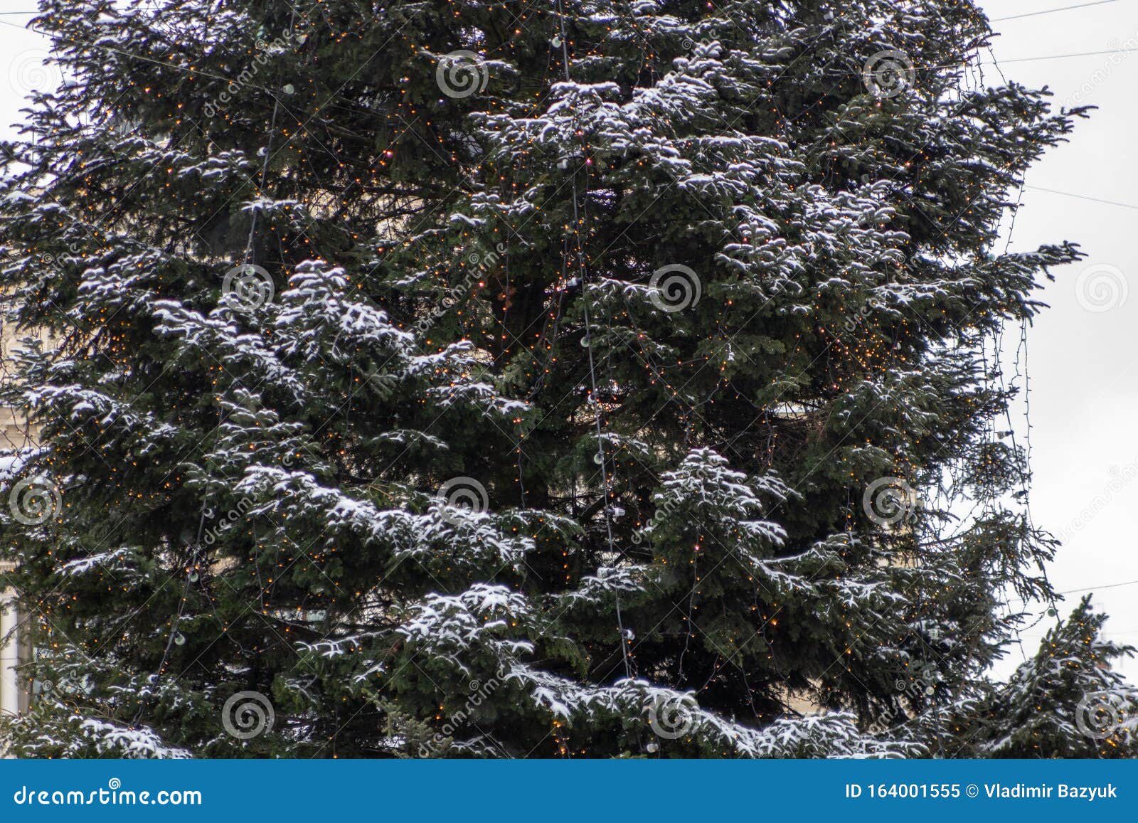 Christmas Tree in Garlands Outdoors,the Main Christmas Tree in the City