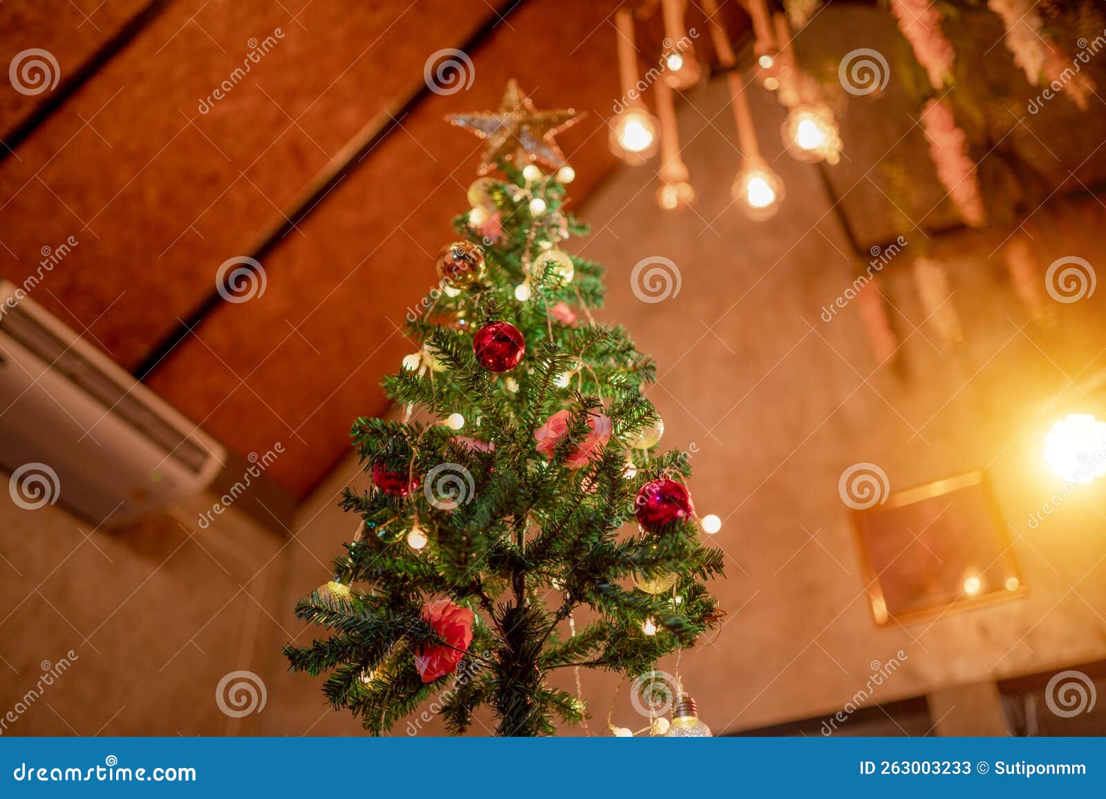Christmas Tree in the House Stock Image Image of horizontal, elegance