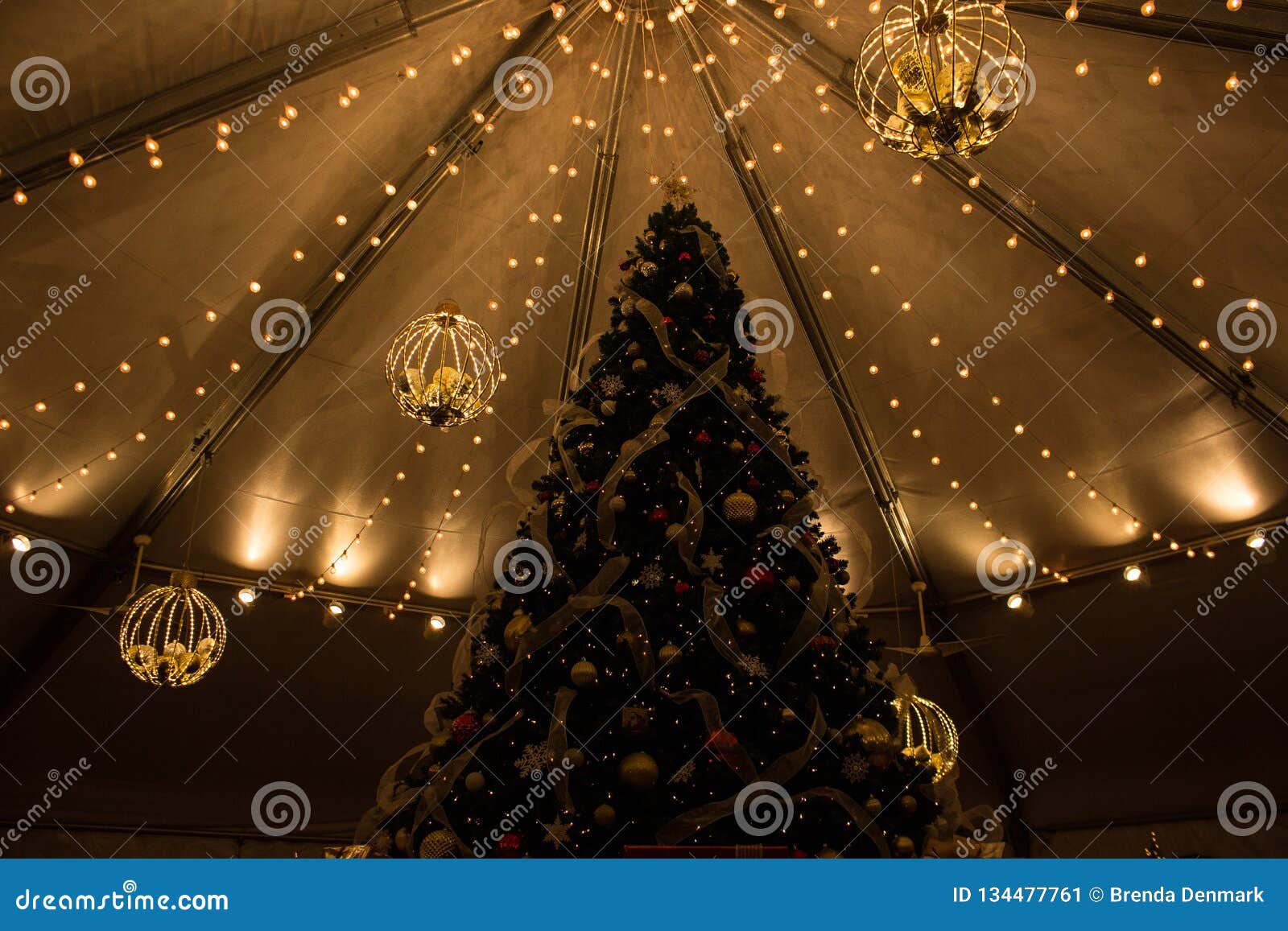 Christmas Tree At Hudson Gardens Stock Image Image Of Colorado