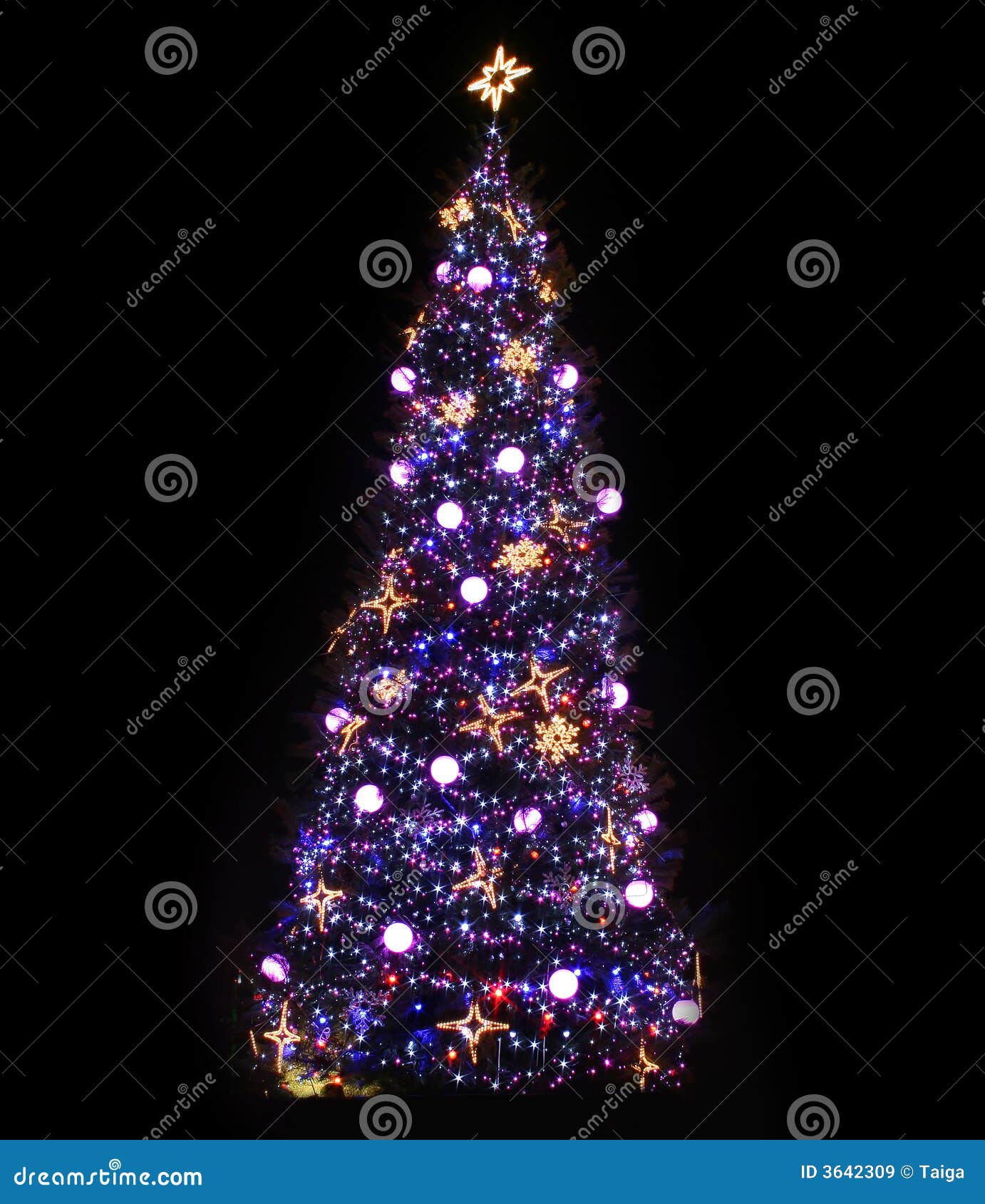 christmas tree illuminated