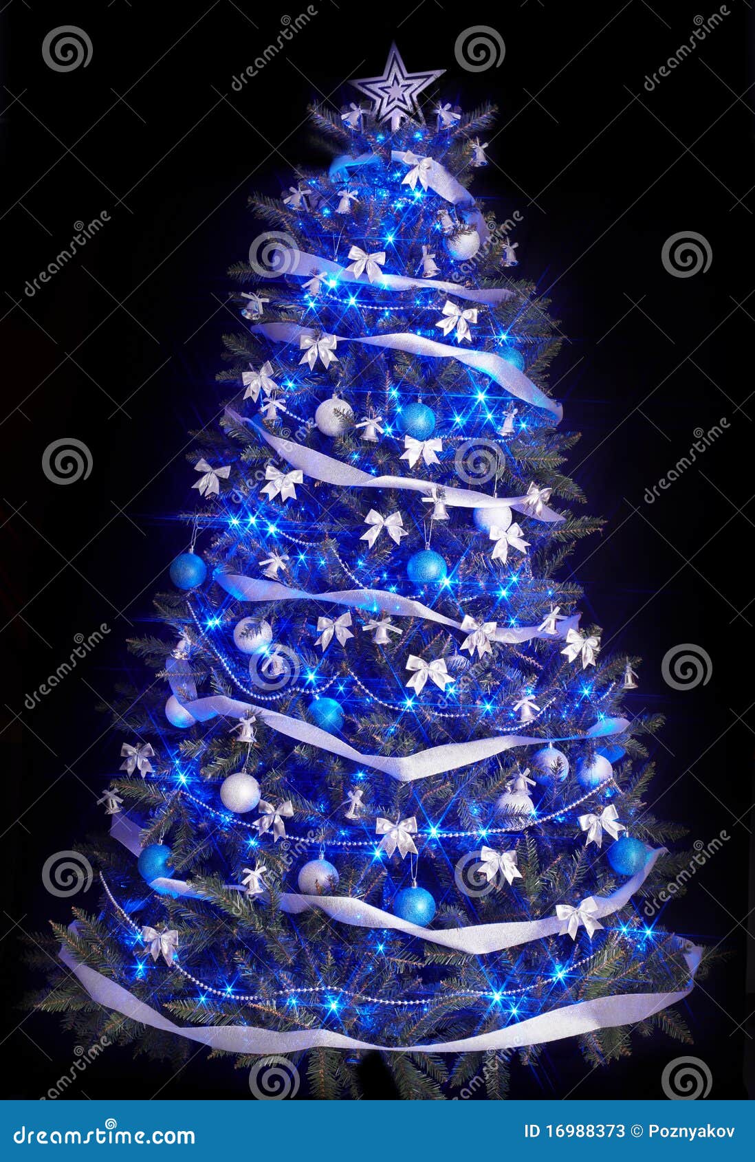 Christmas Tree with Light and Blue Star. Stock Image Image of