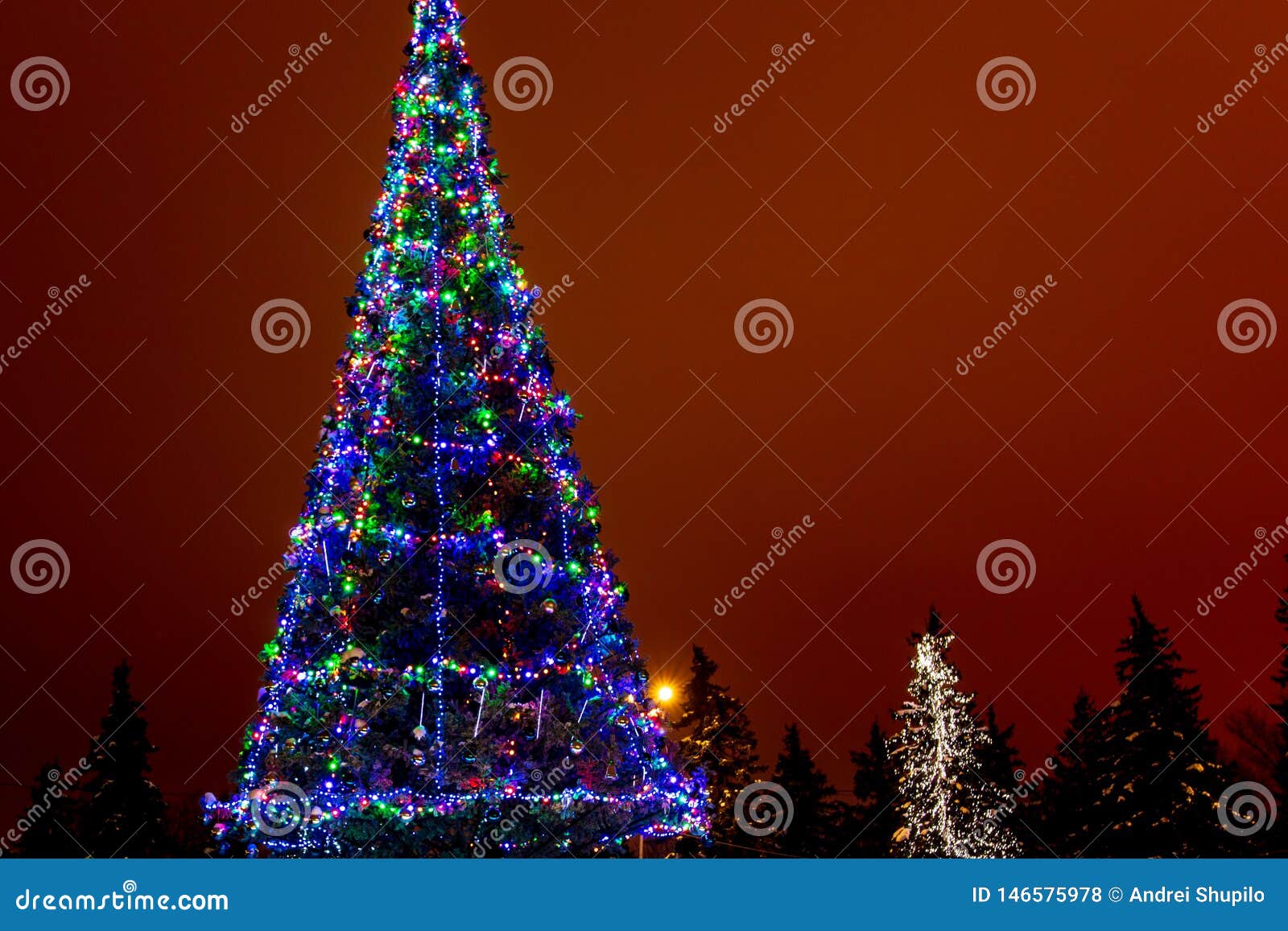 Christmas Tree Lights on Christmas Night Stock Photo Image of