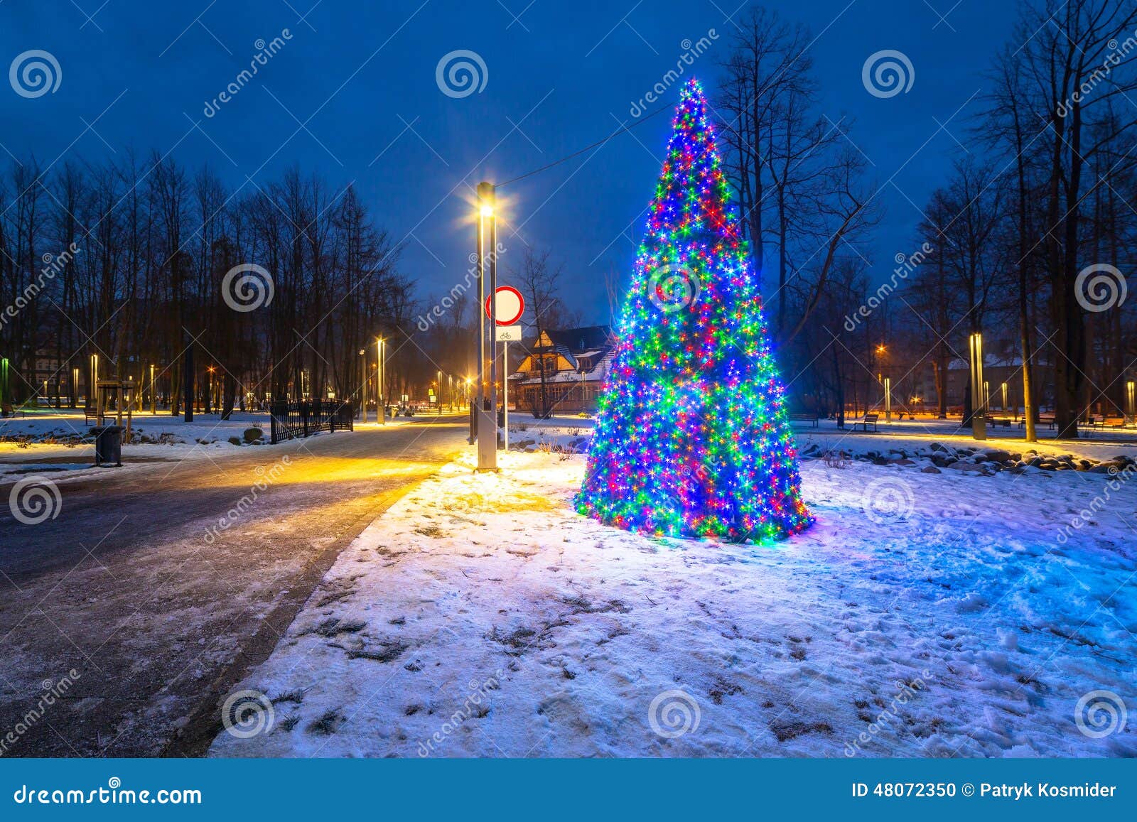 Christmas Tree Lights in the Park Stock Photo Image of pedestrian