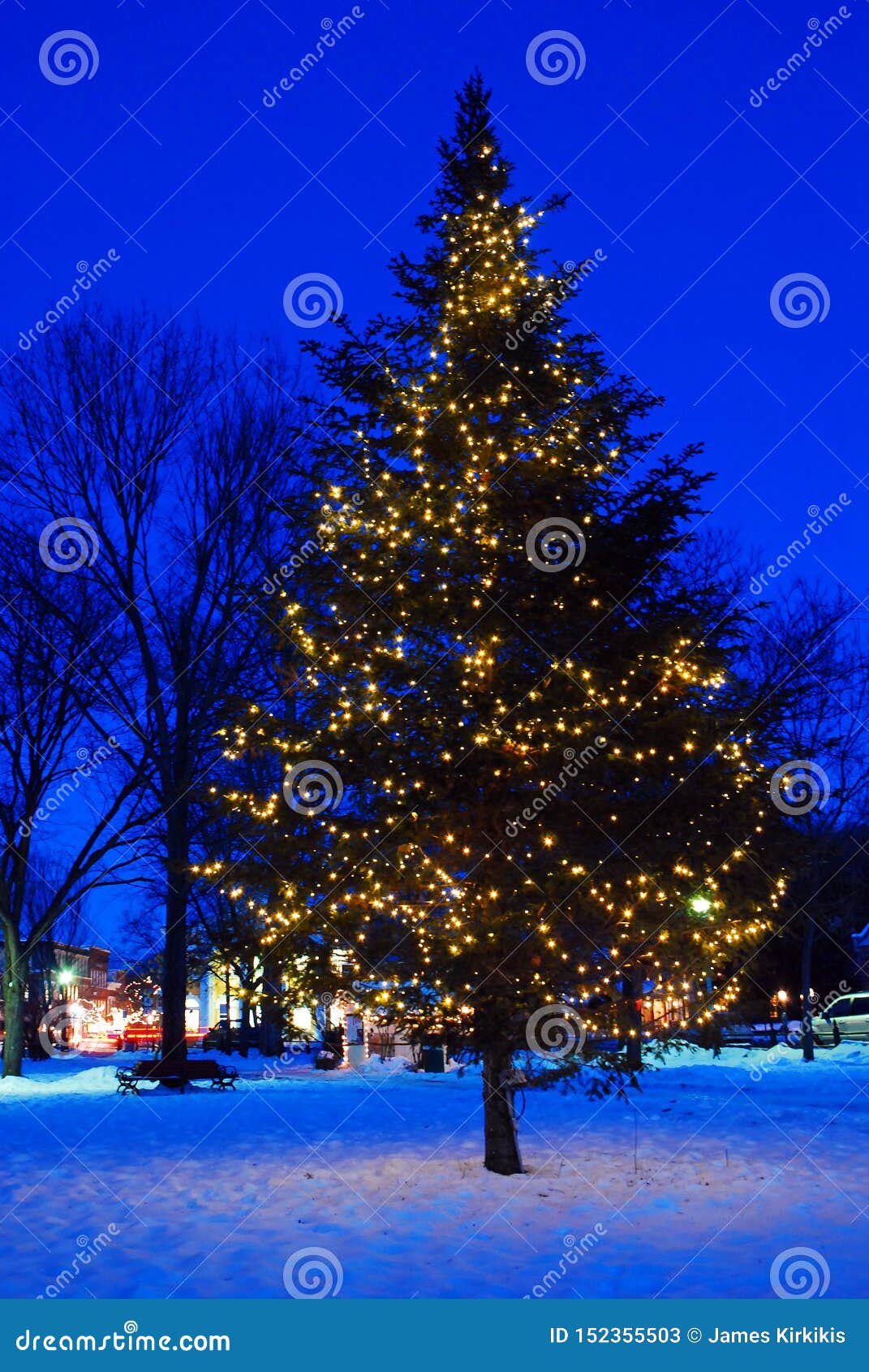 A Christmas Tree Lights Up a Town Square Stock Image Image of illuminate, downtown 152355503
