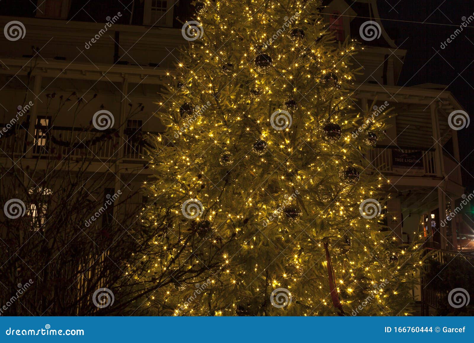 Christmas Tree Lit at Night in Doylestown, Pa. USA Stock Photo Image