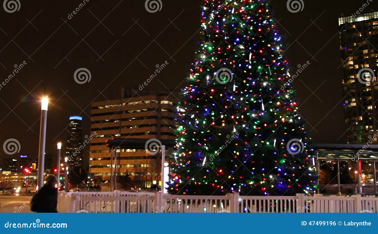 Christmas Tree at Mississauga Square Stock Footage Video of city