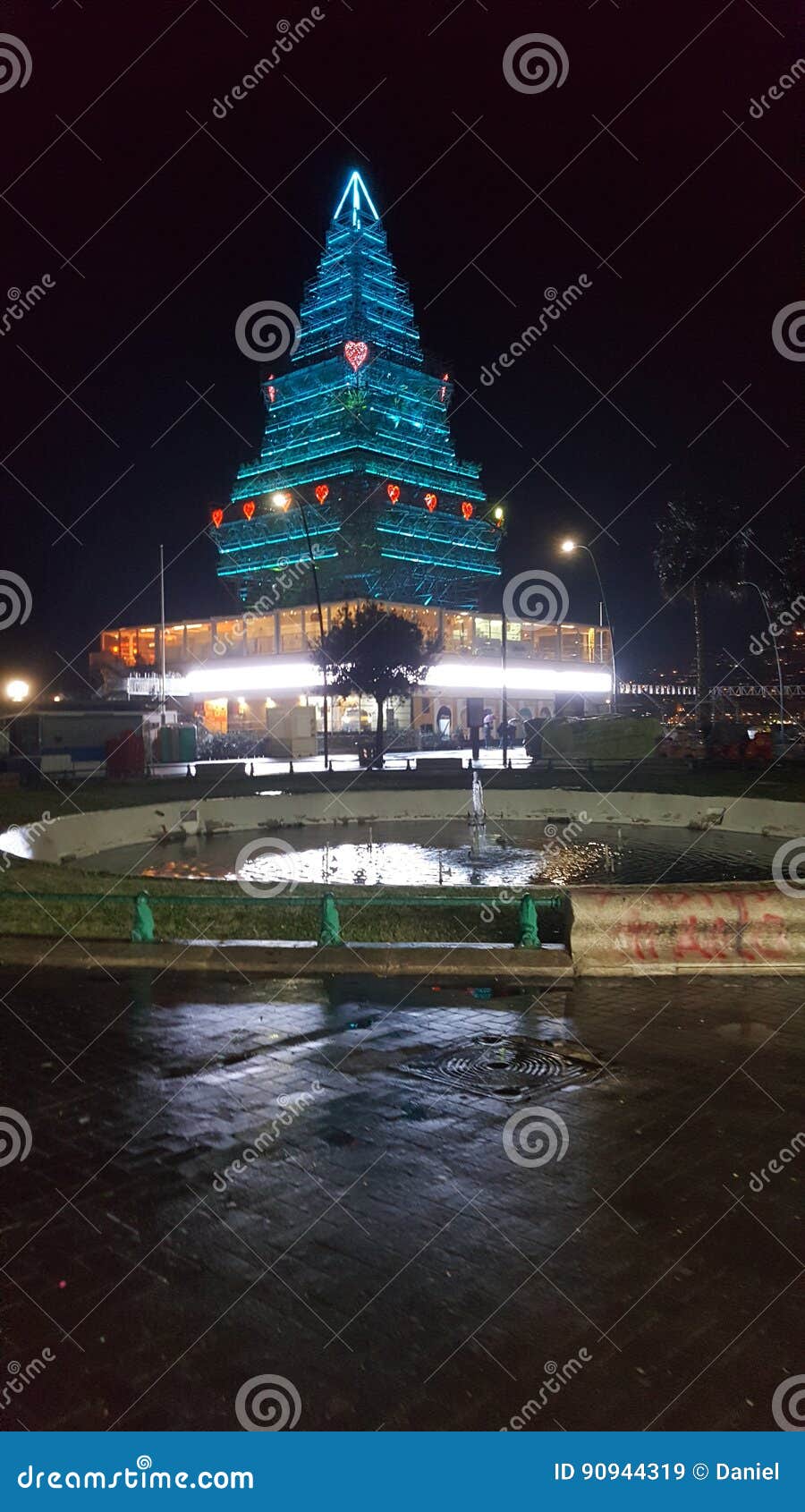 Christmas Tree stock image. Image of naples, bigcity 90944319